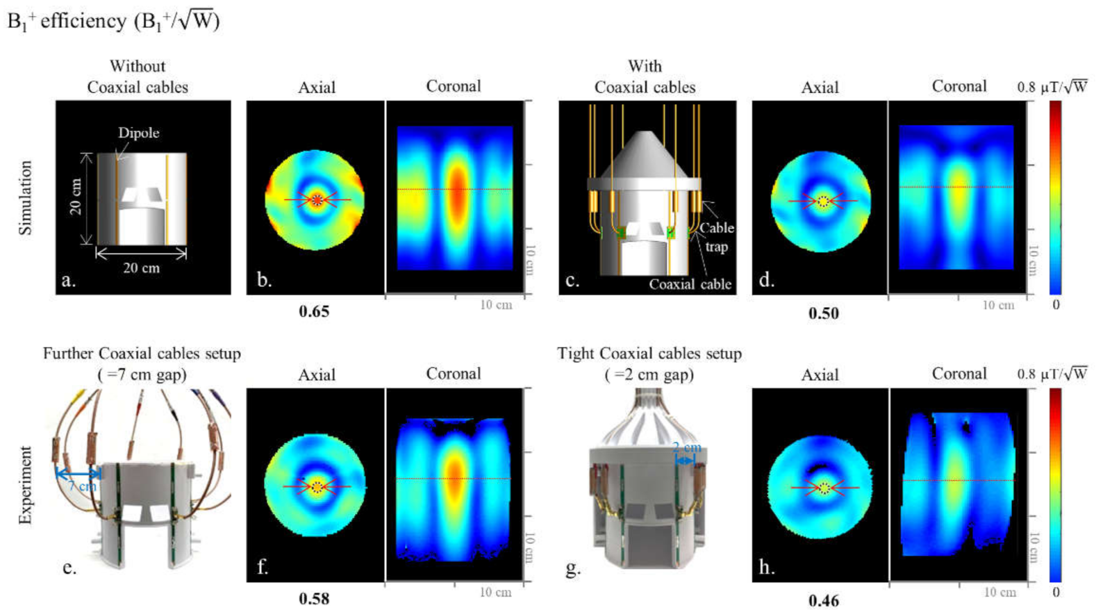 Sensors 21 06000 g001