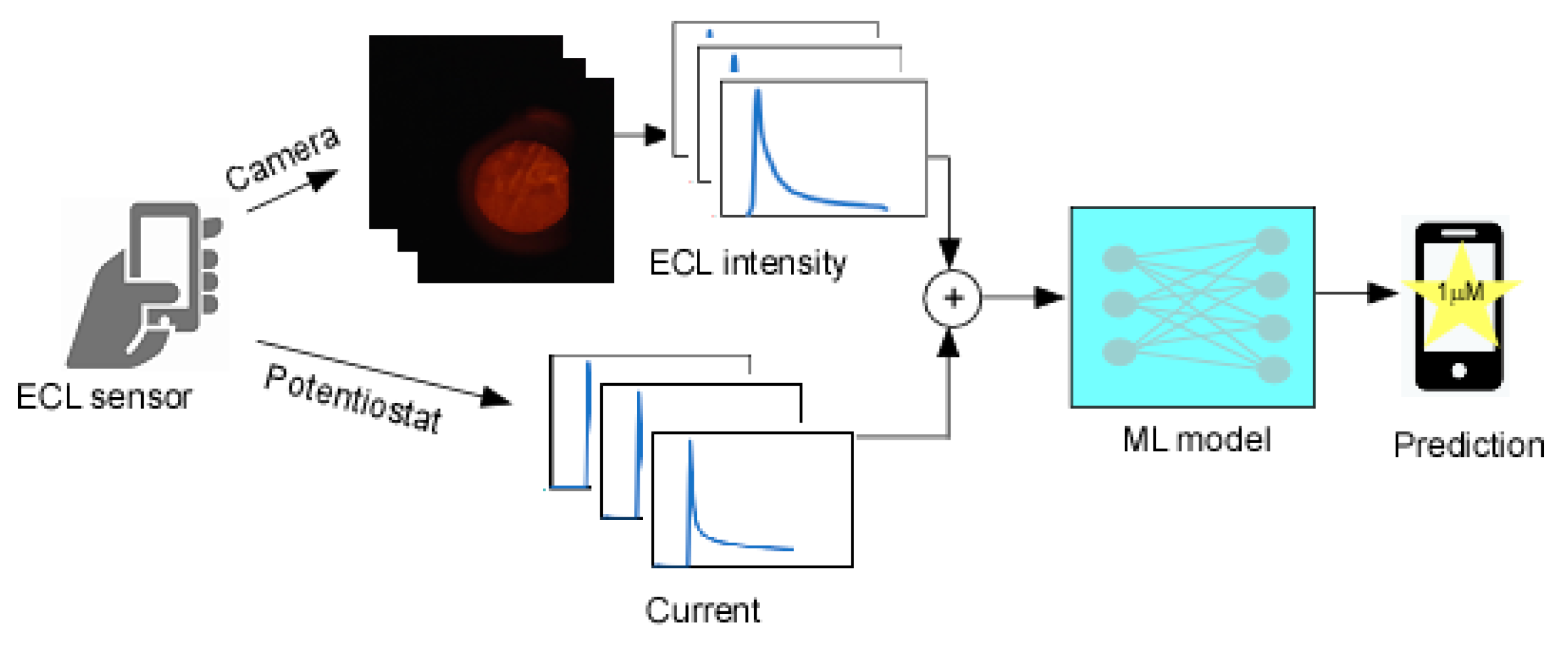 Sensors 21 06004 g001