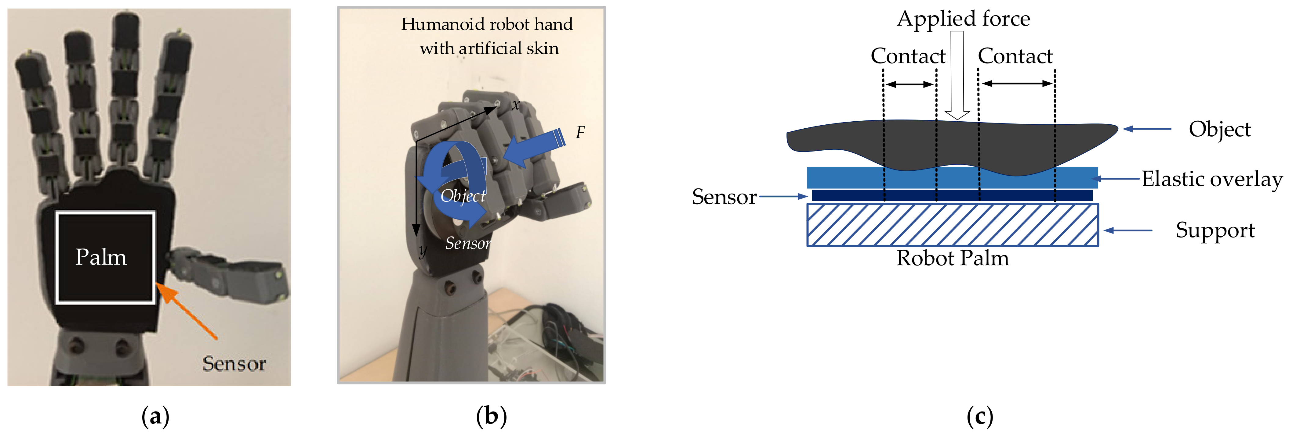 Sensors 21 06024 g011