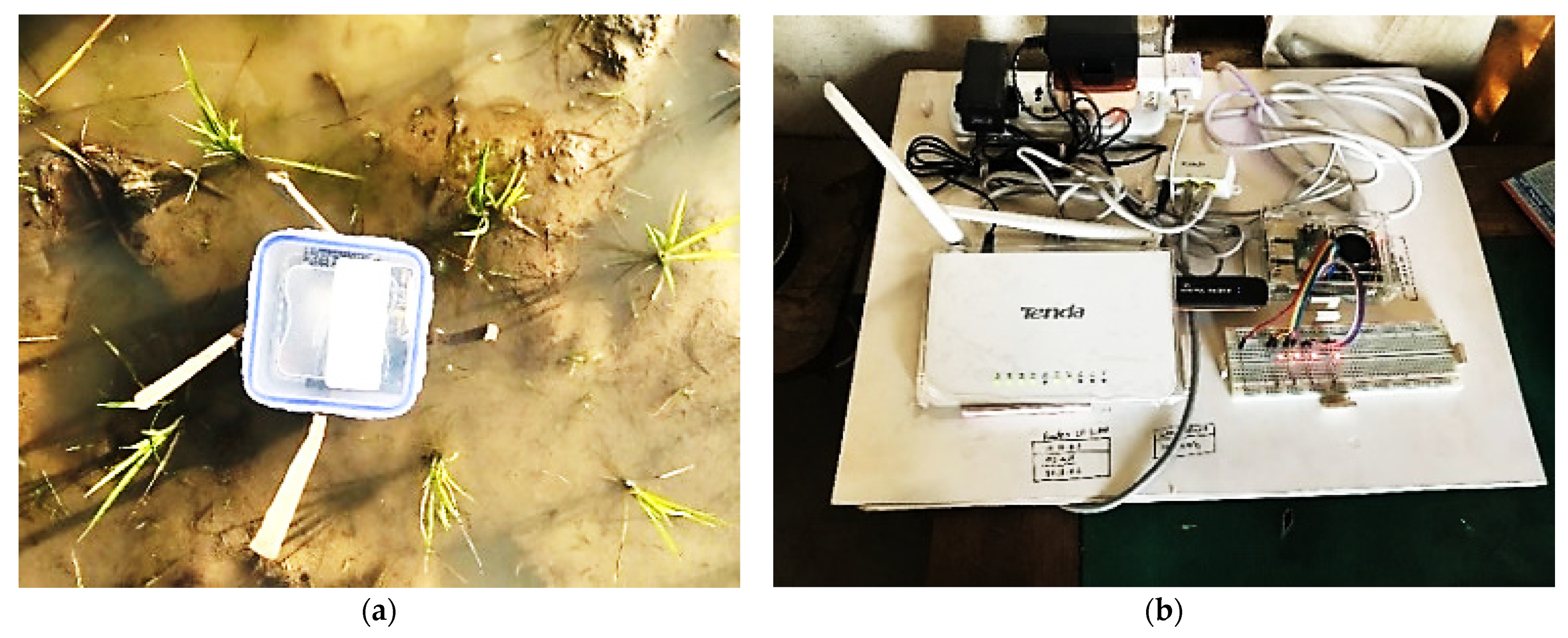 Sensors 21 06040 g011