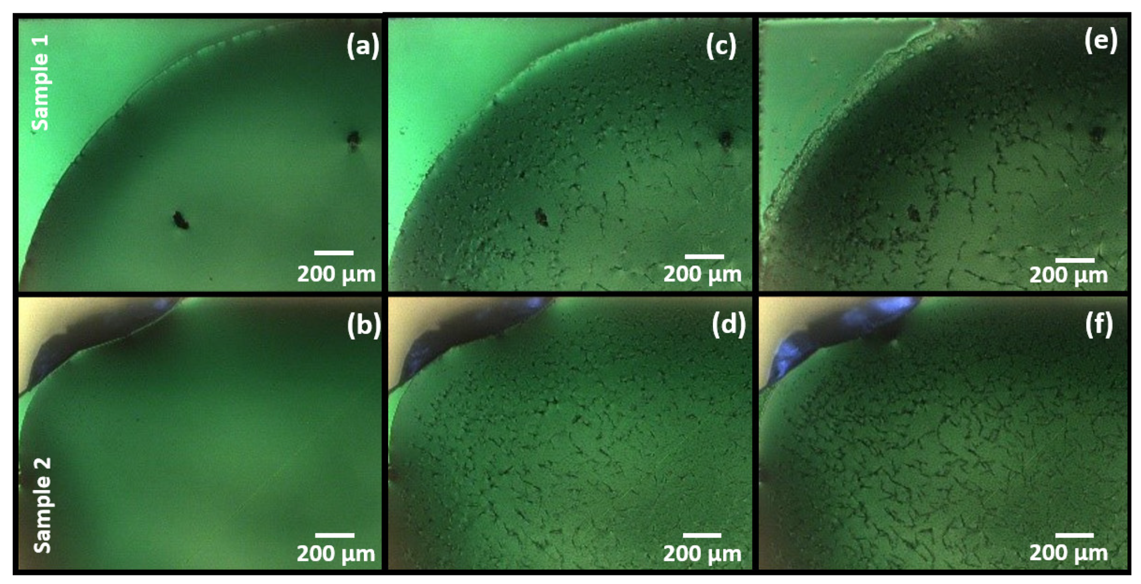 Sensors 21 06041 g002