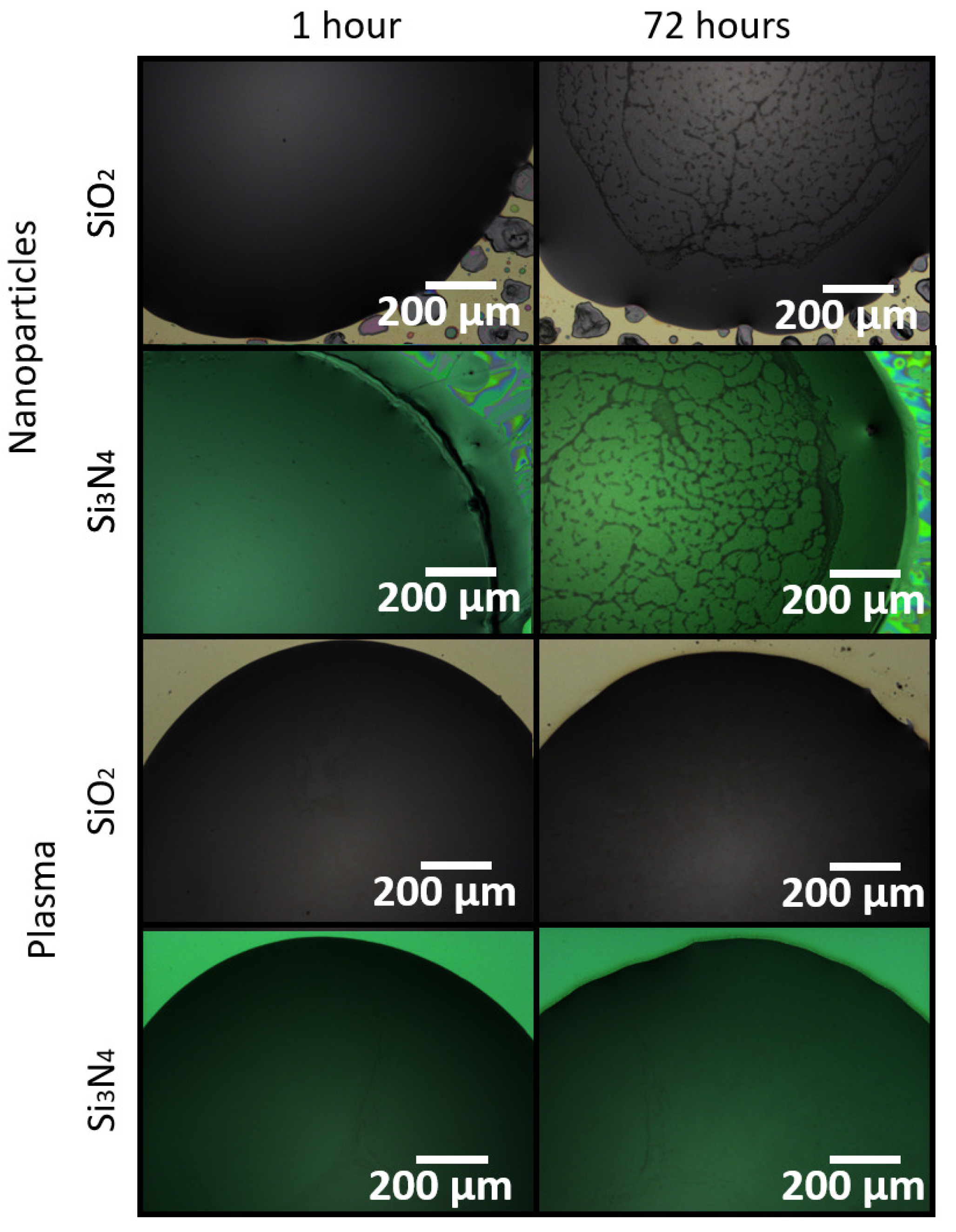 Sensors 21 06041 g005