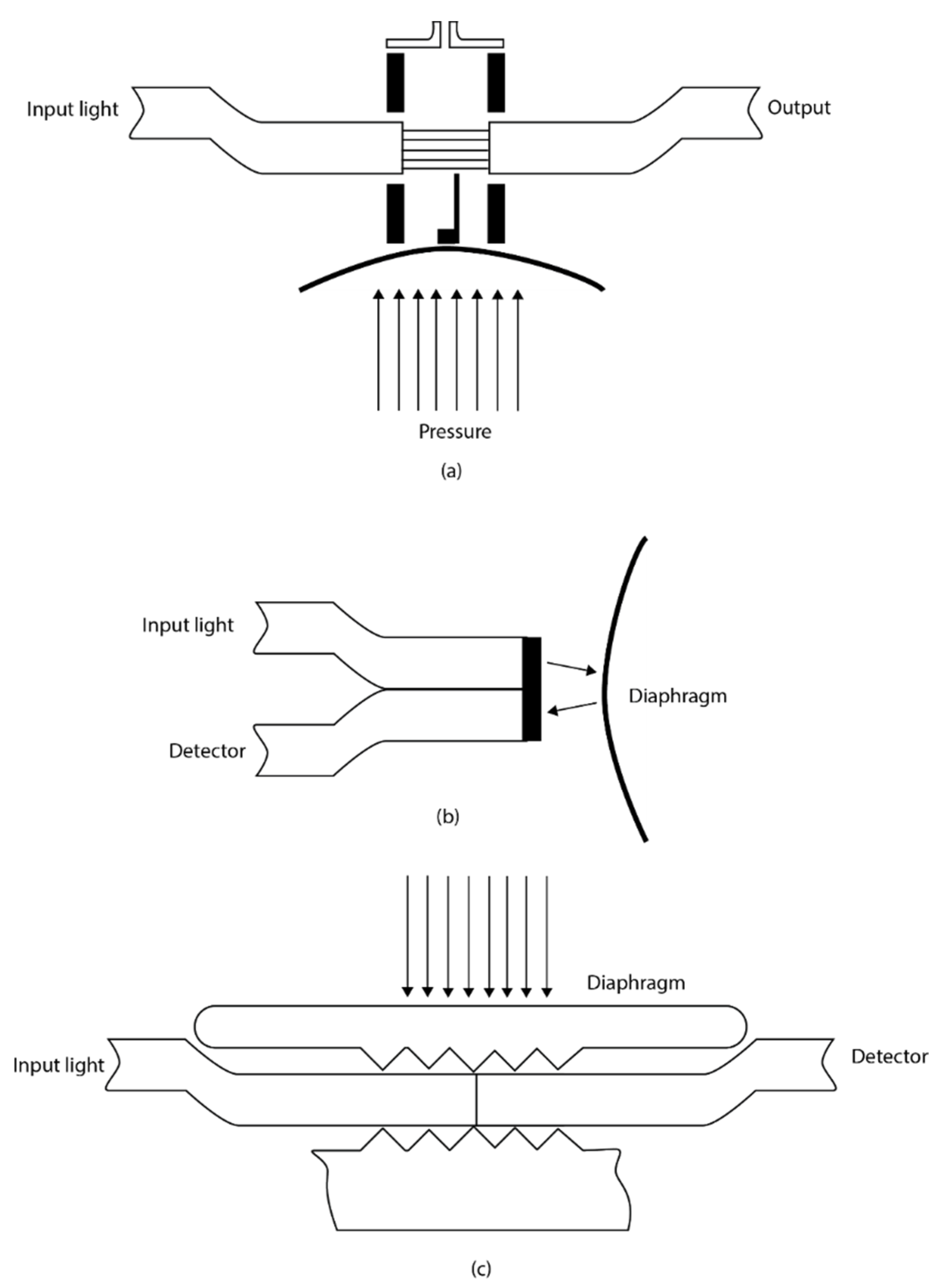 Sensors 21 06047 g006