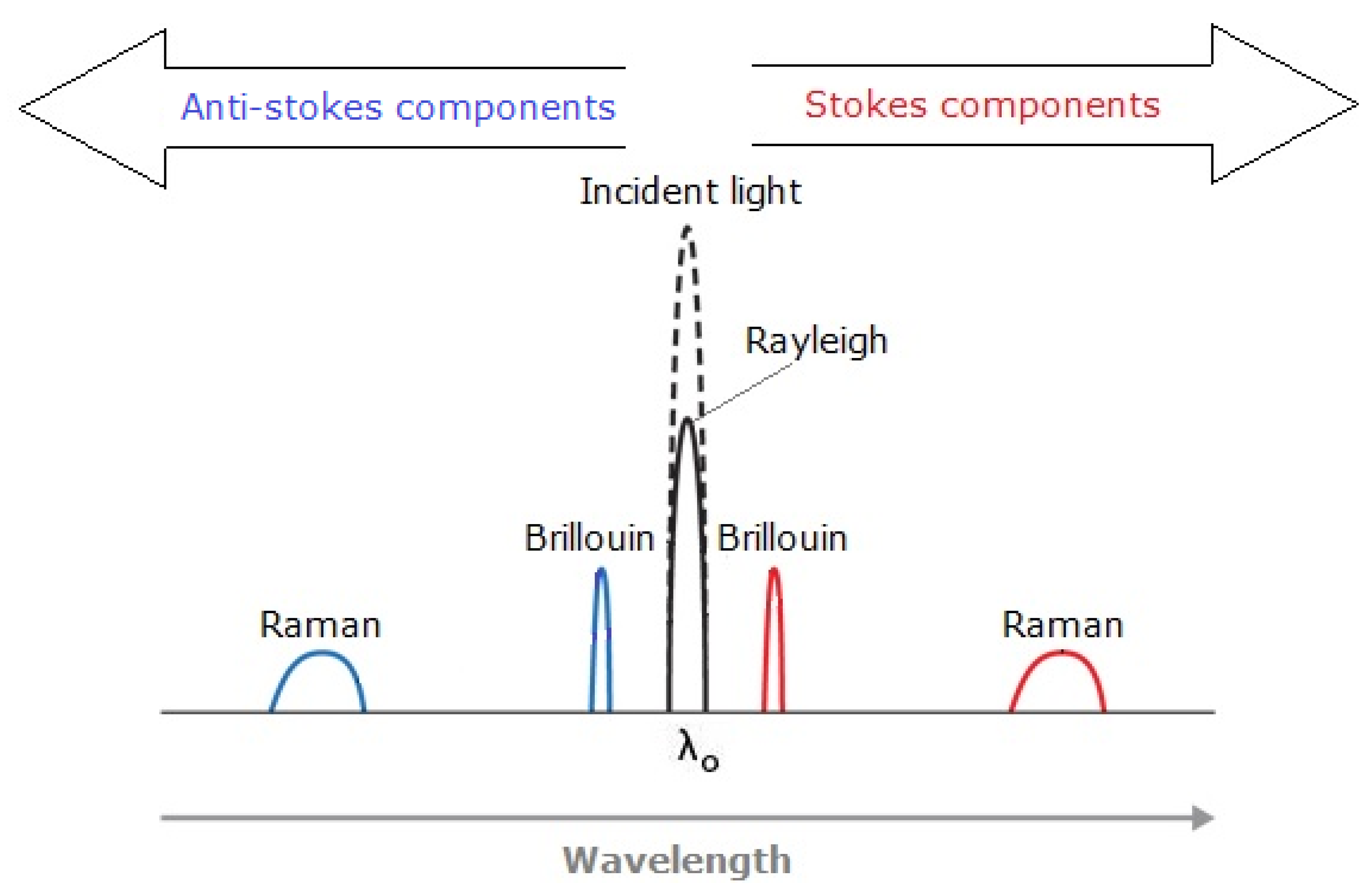 Sensors 21 06047 g012