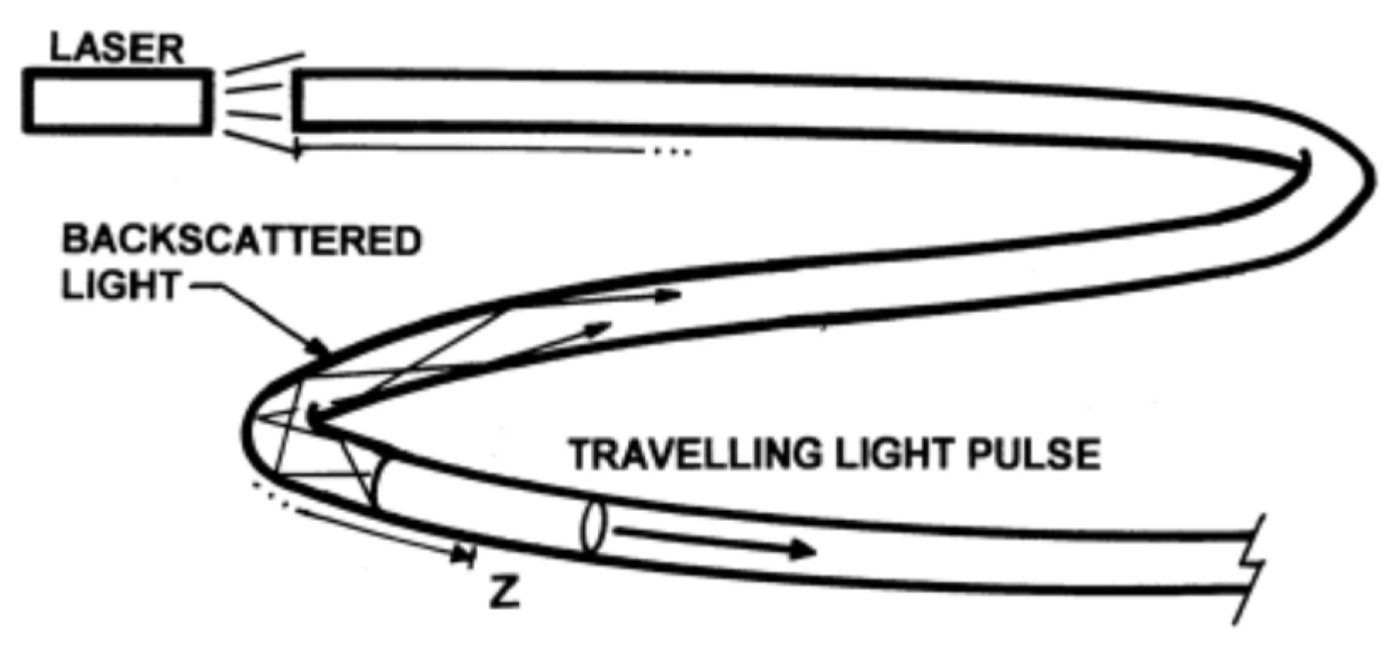 Sensors 21 06047 g013