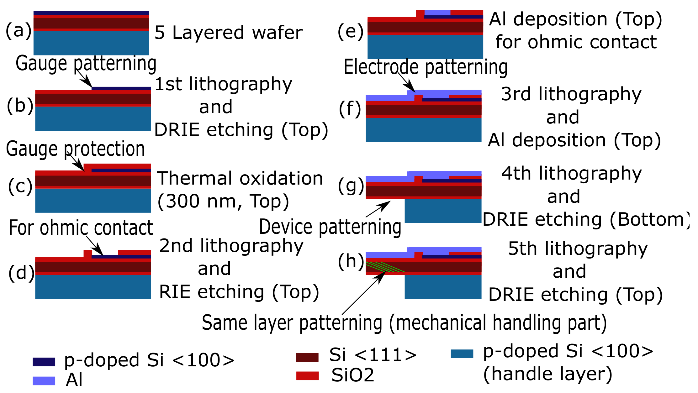 Sensors 21 06059 g007