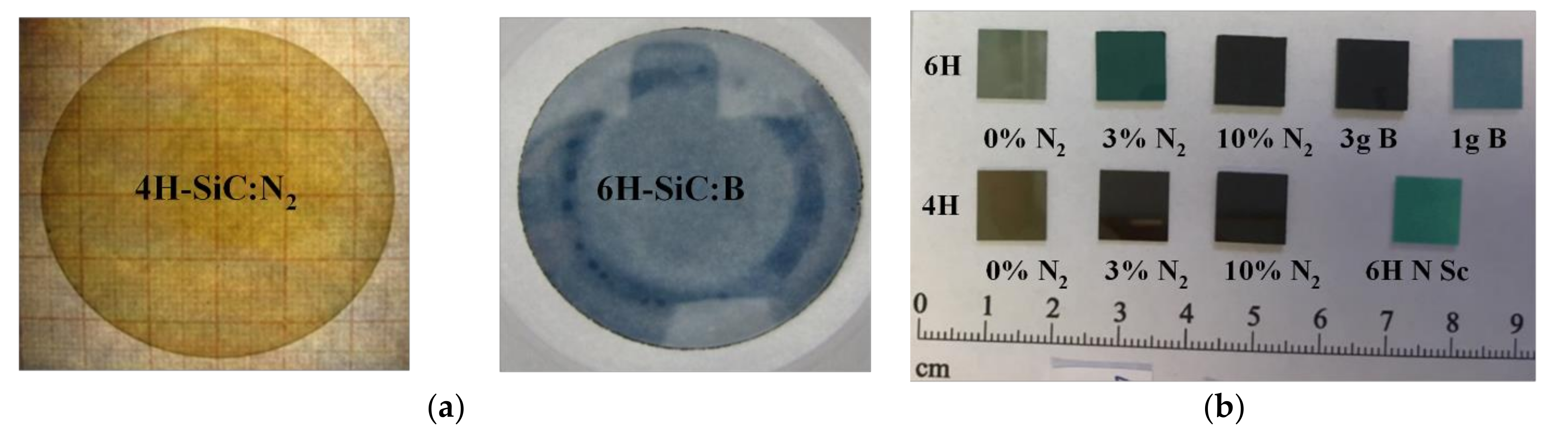 Sensors 21 06066 g003