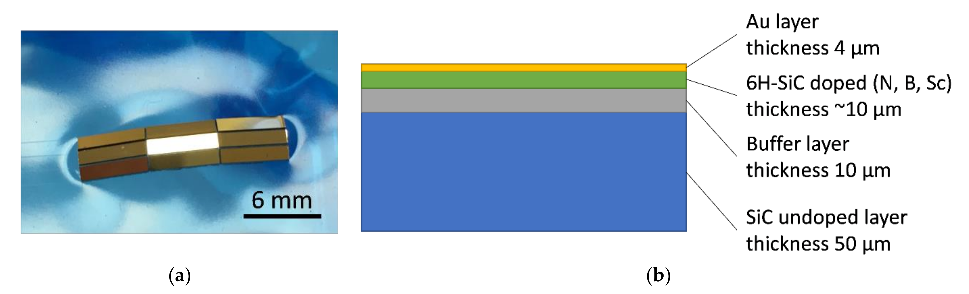Sensors 21 06066 g005