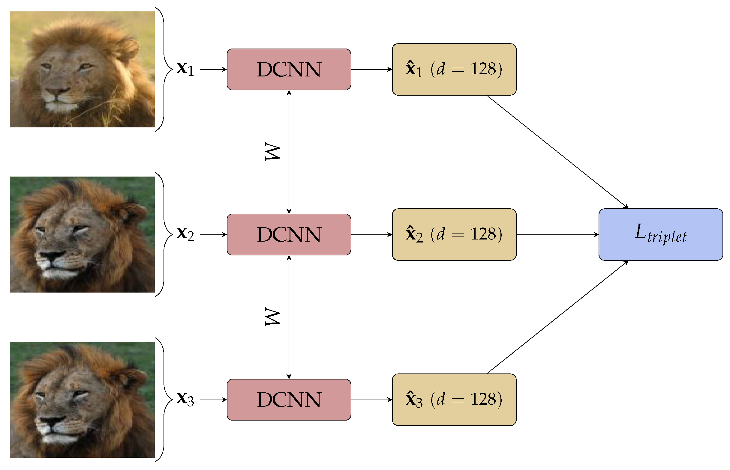 Sensors 21 06109 g001