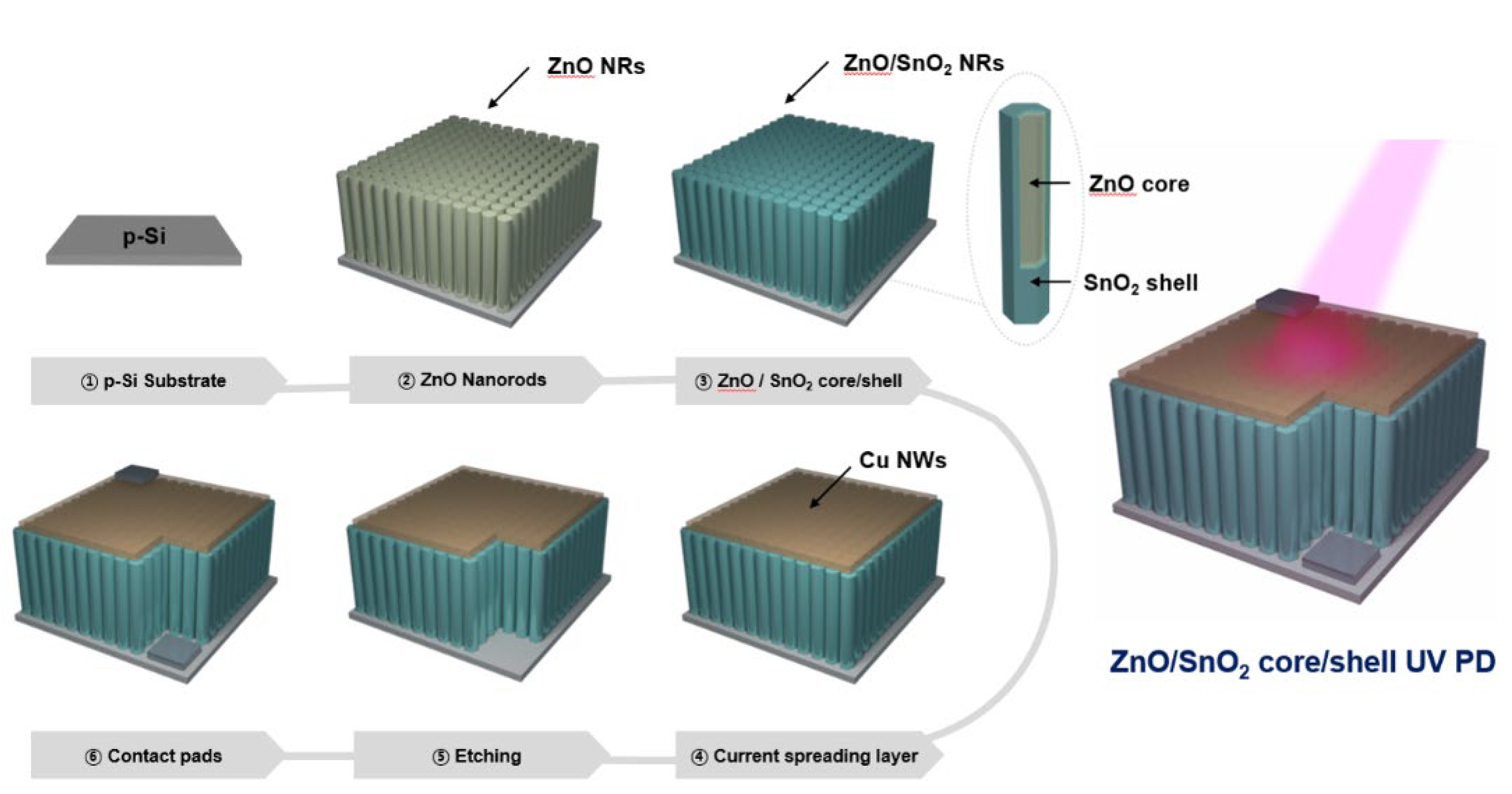 Sensors 21 06124 g001
