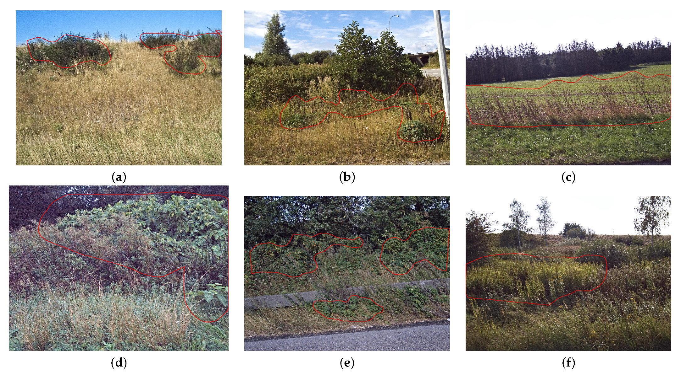 Sensors 21 06126 g006