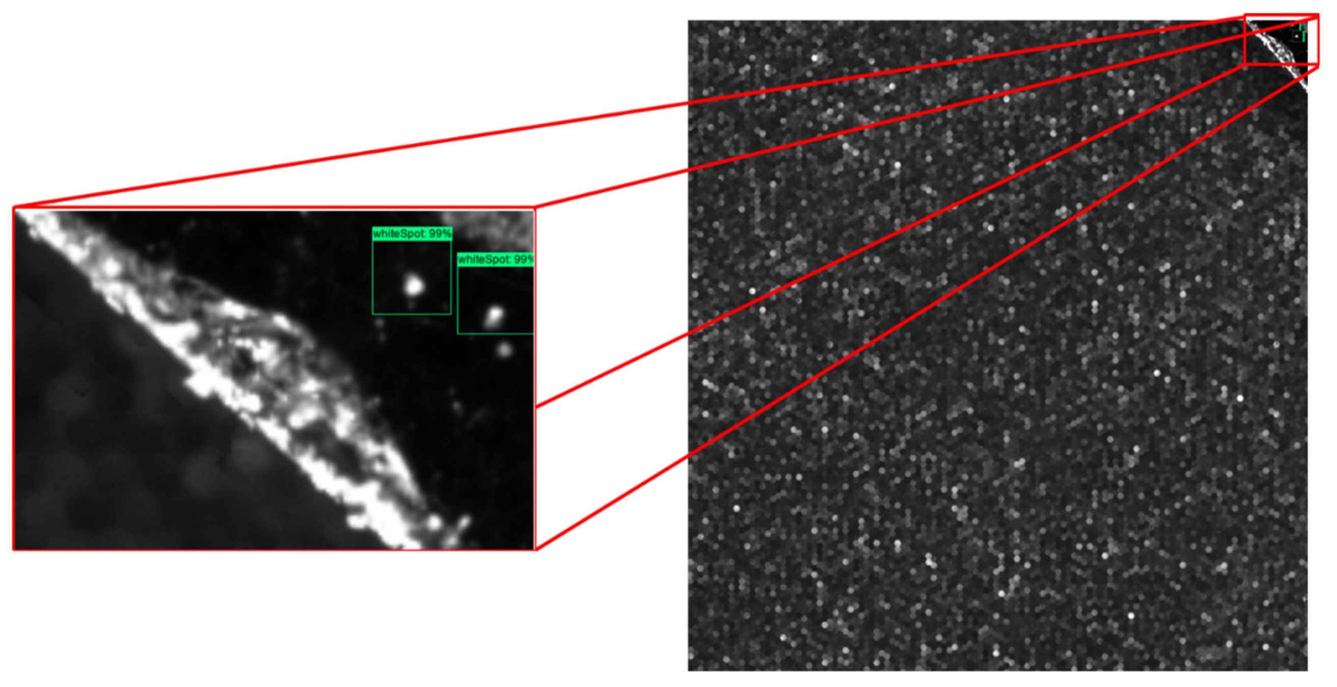 Sensors 21 06141 g005