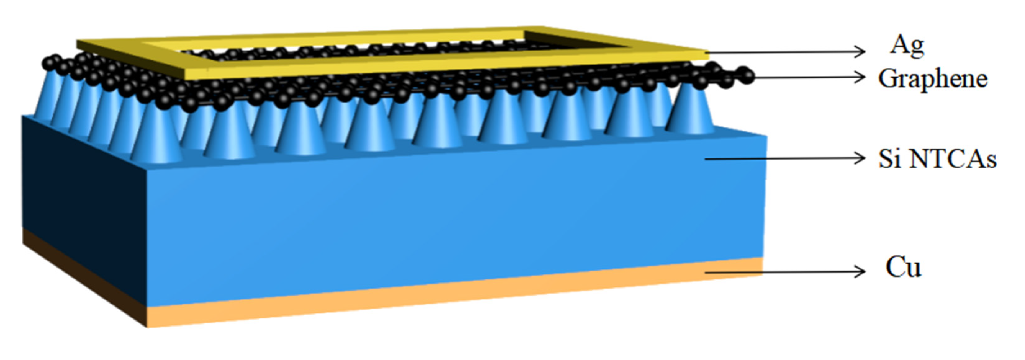 Sensors 21 06146 g001