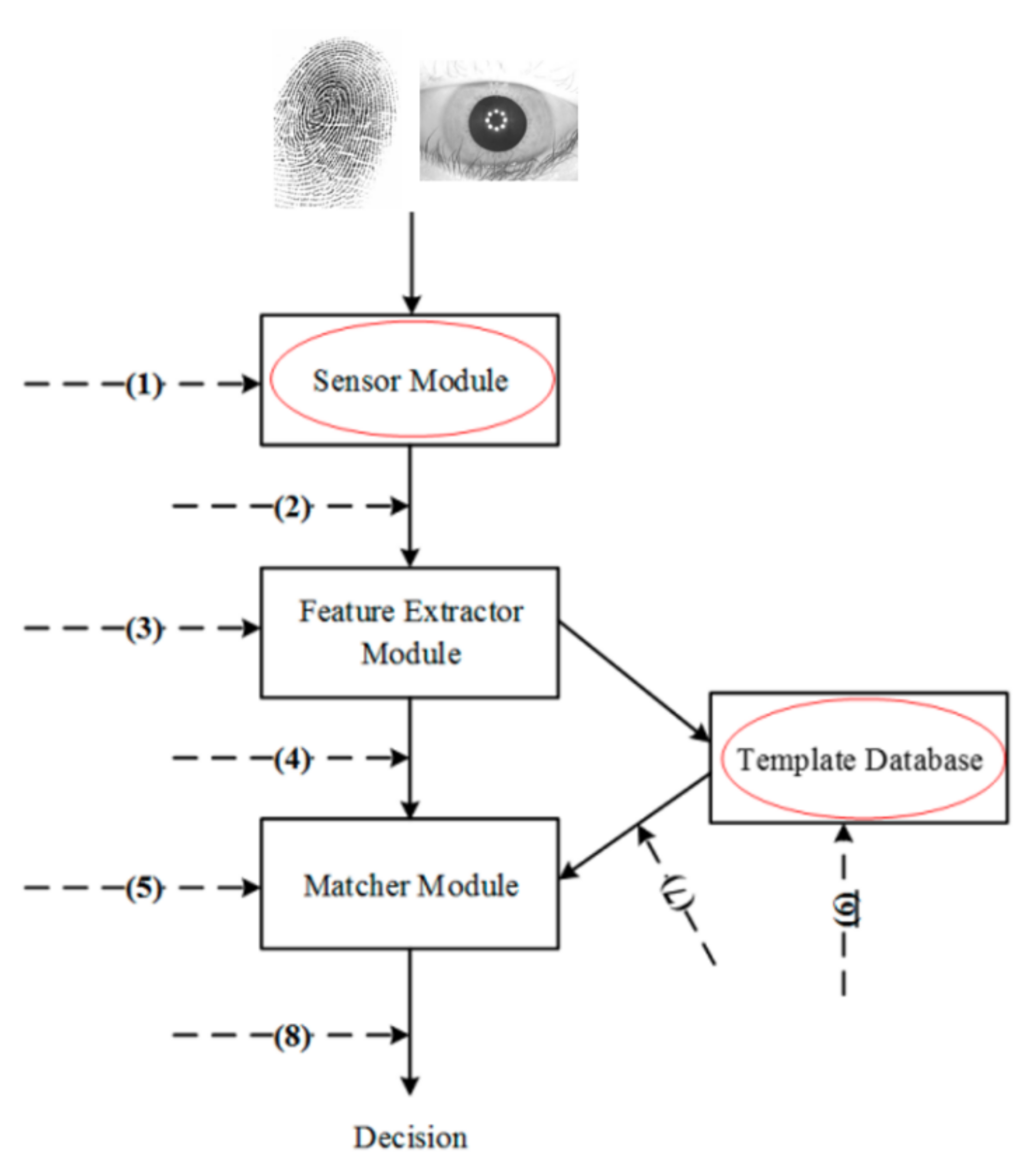 Sensors 21 06163 g005