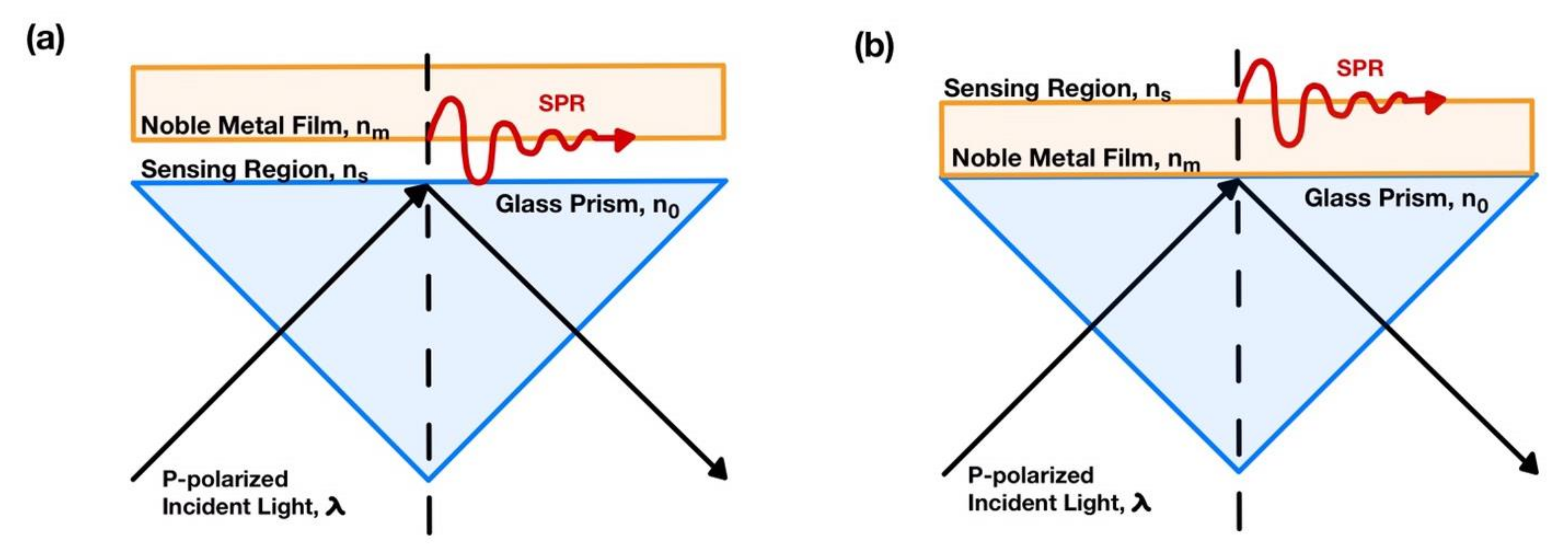 Sensors 21 06164 g001