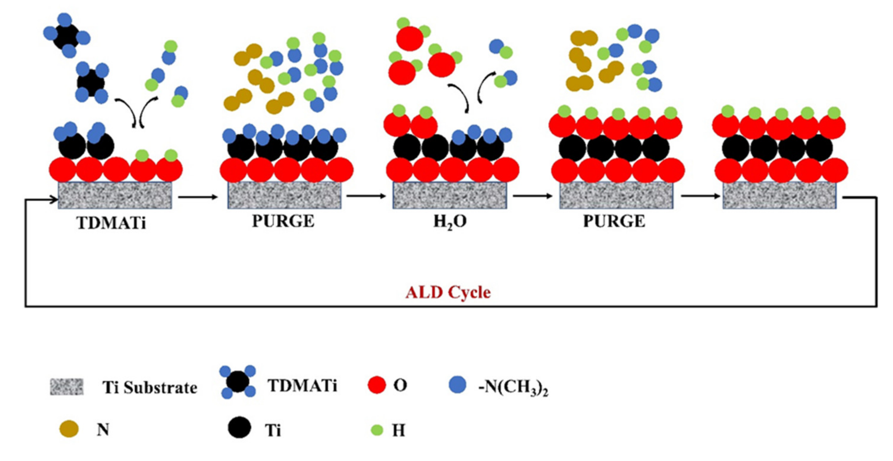 Sensors 21 06167 g005
