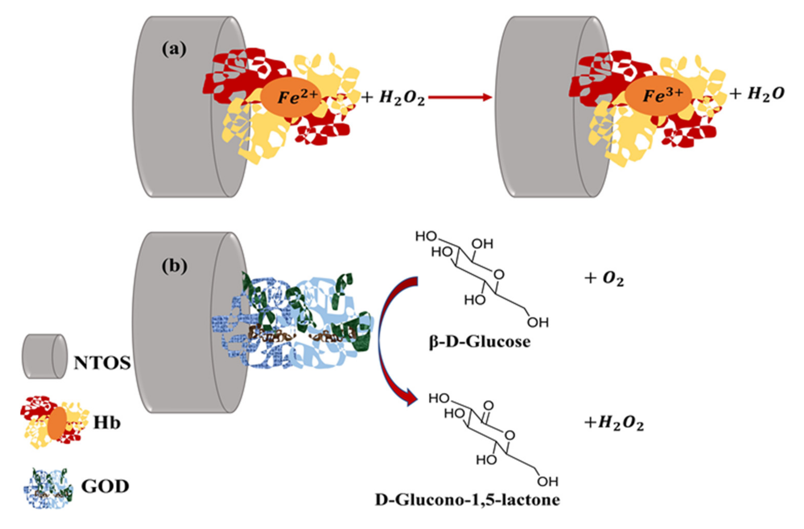 Sensors 21 06167 g009