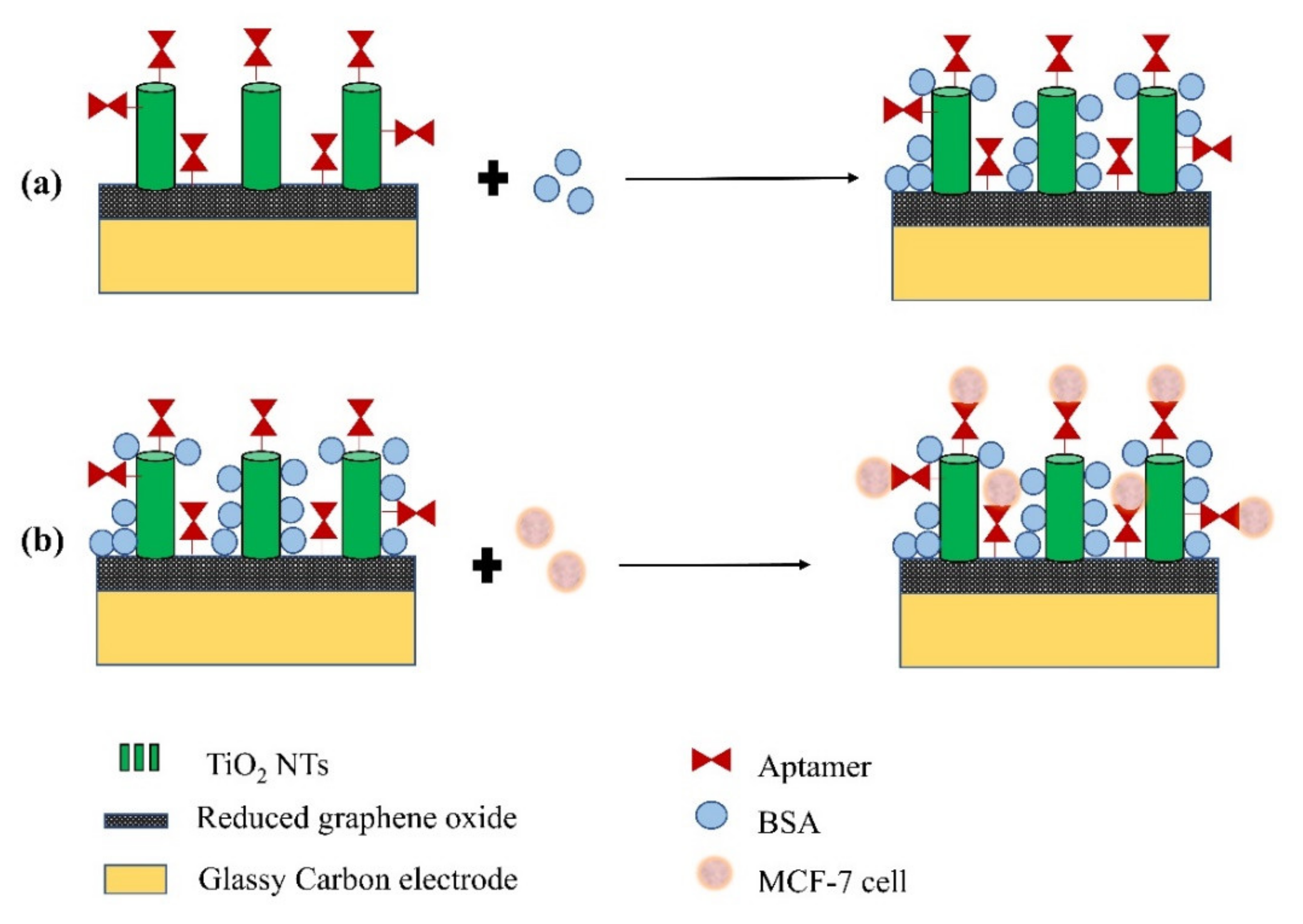 Sensors 21 06167 g013