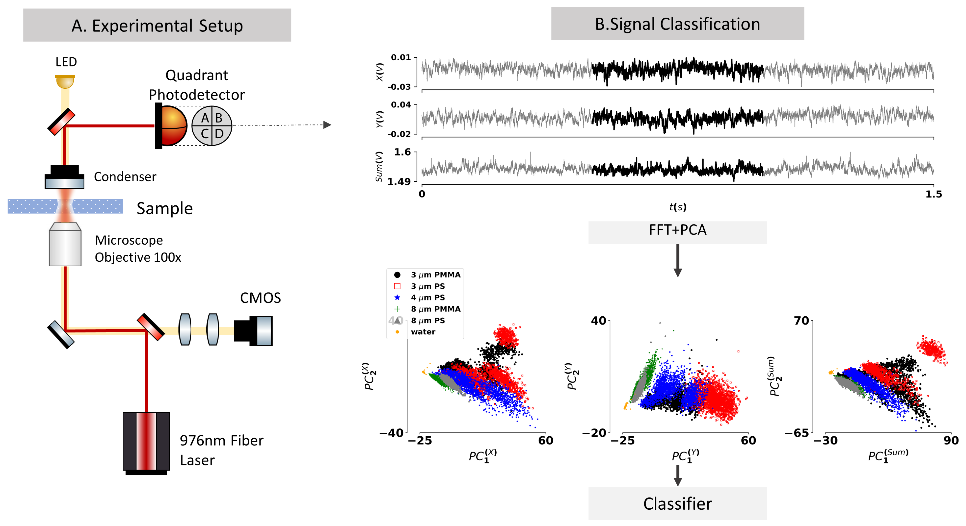 Sensors 21 06181 g001