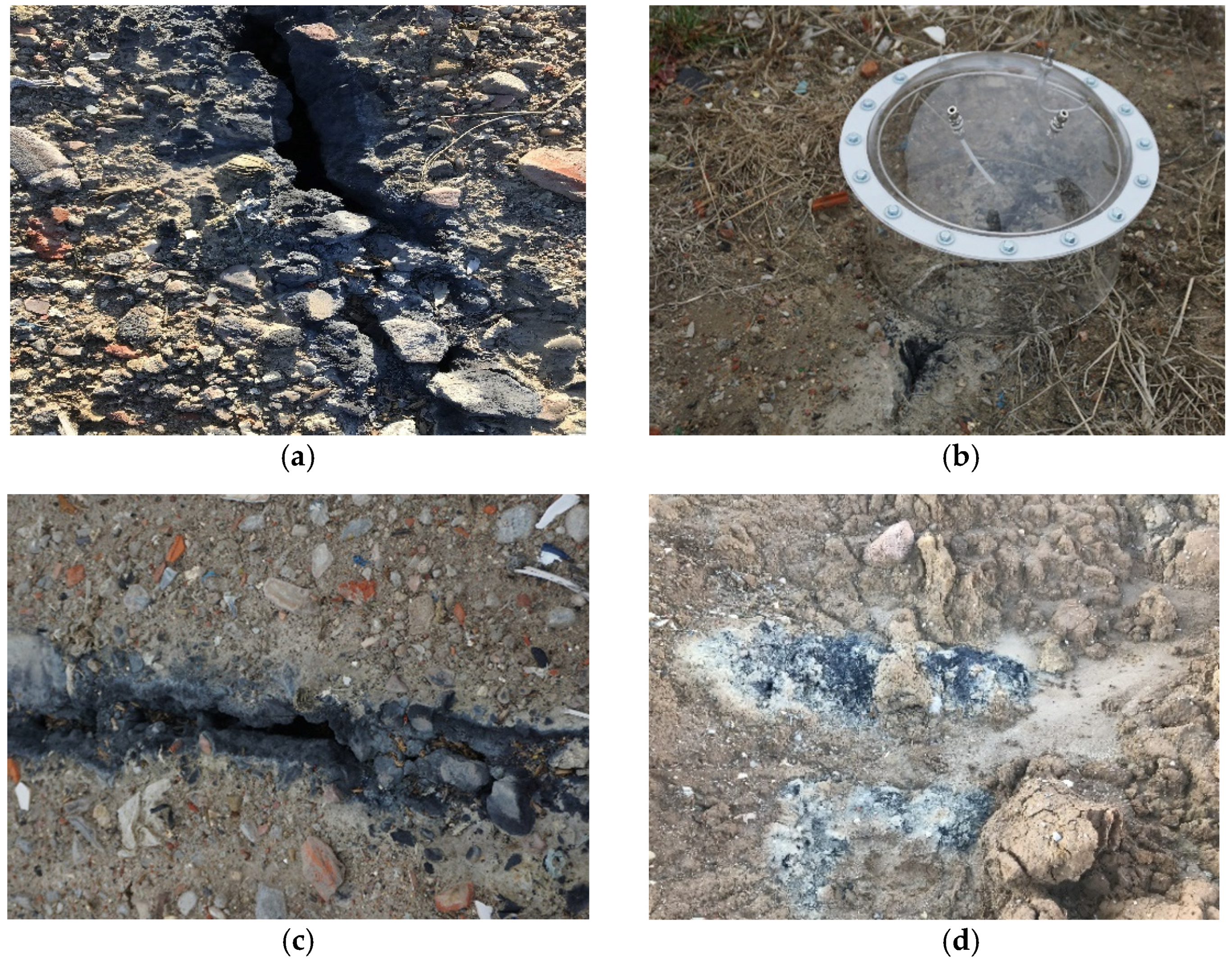 Sensors 21 06190 g001