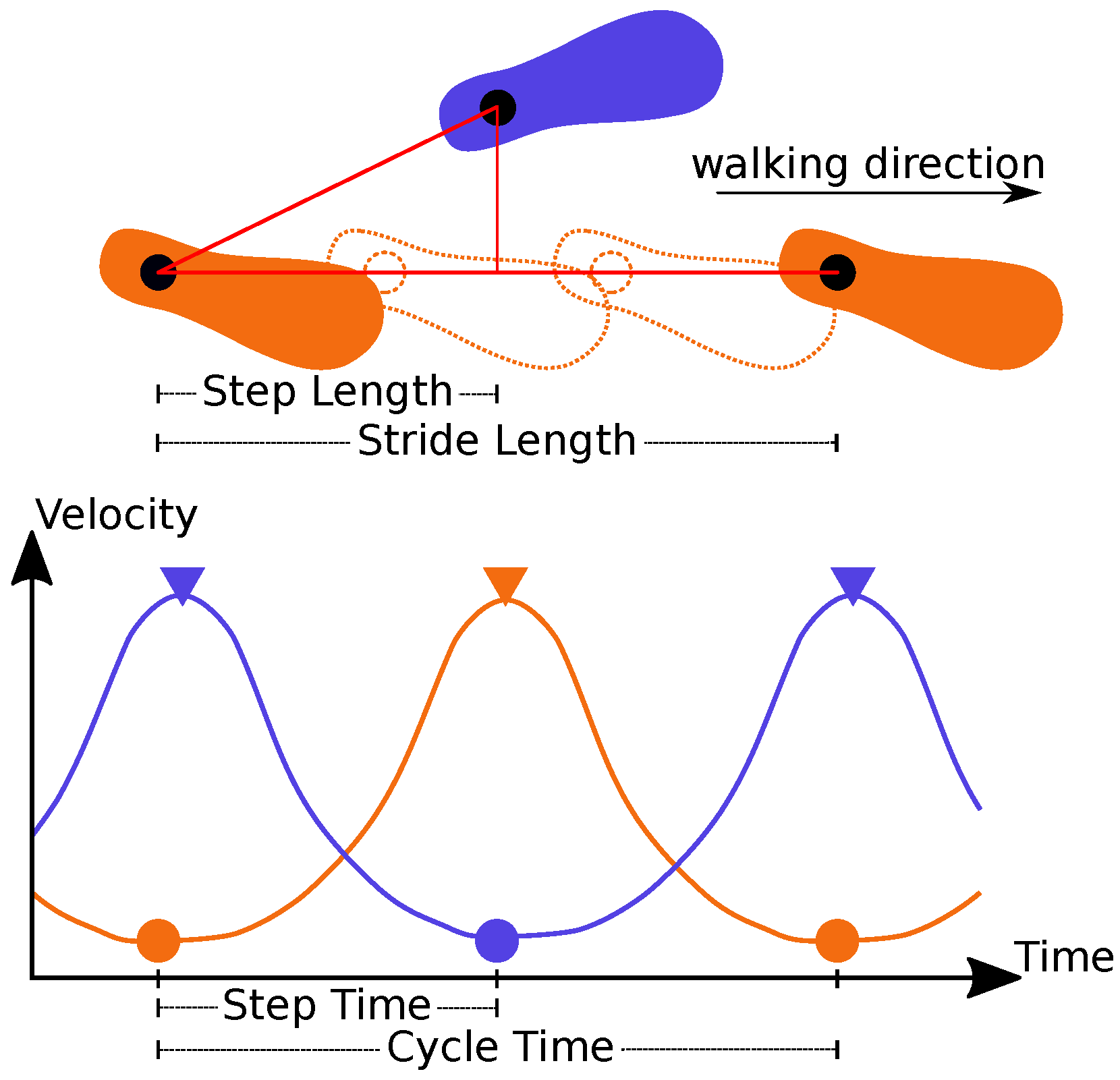 Sensors 21 06205 g003