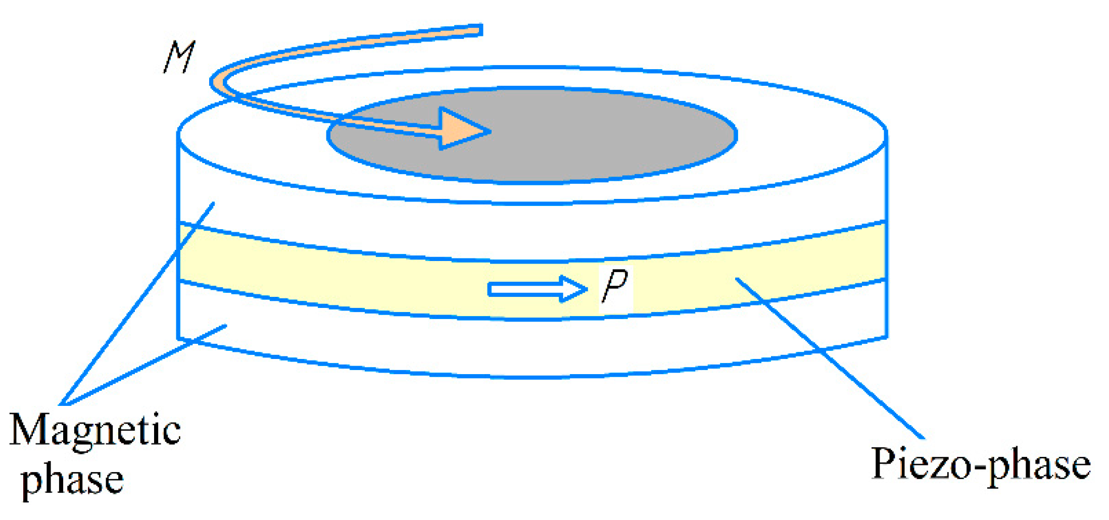Sensors 21 06232 g001