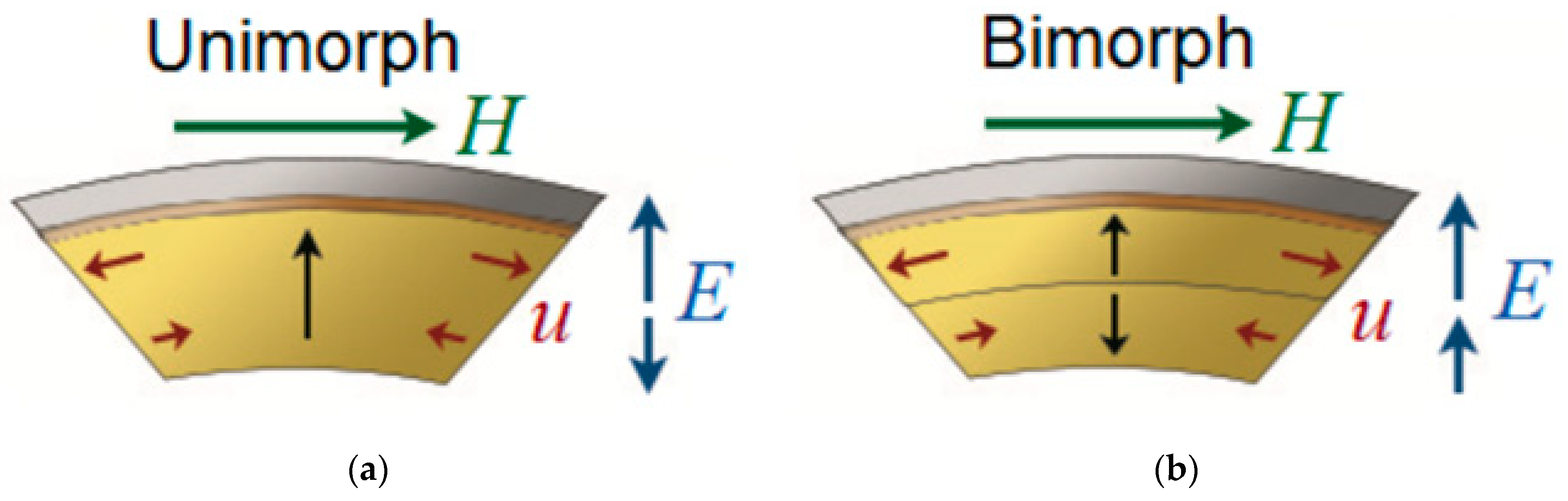 Sensors 21 06232 g011