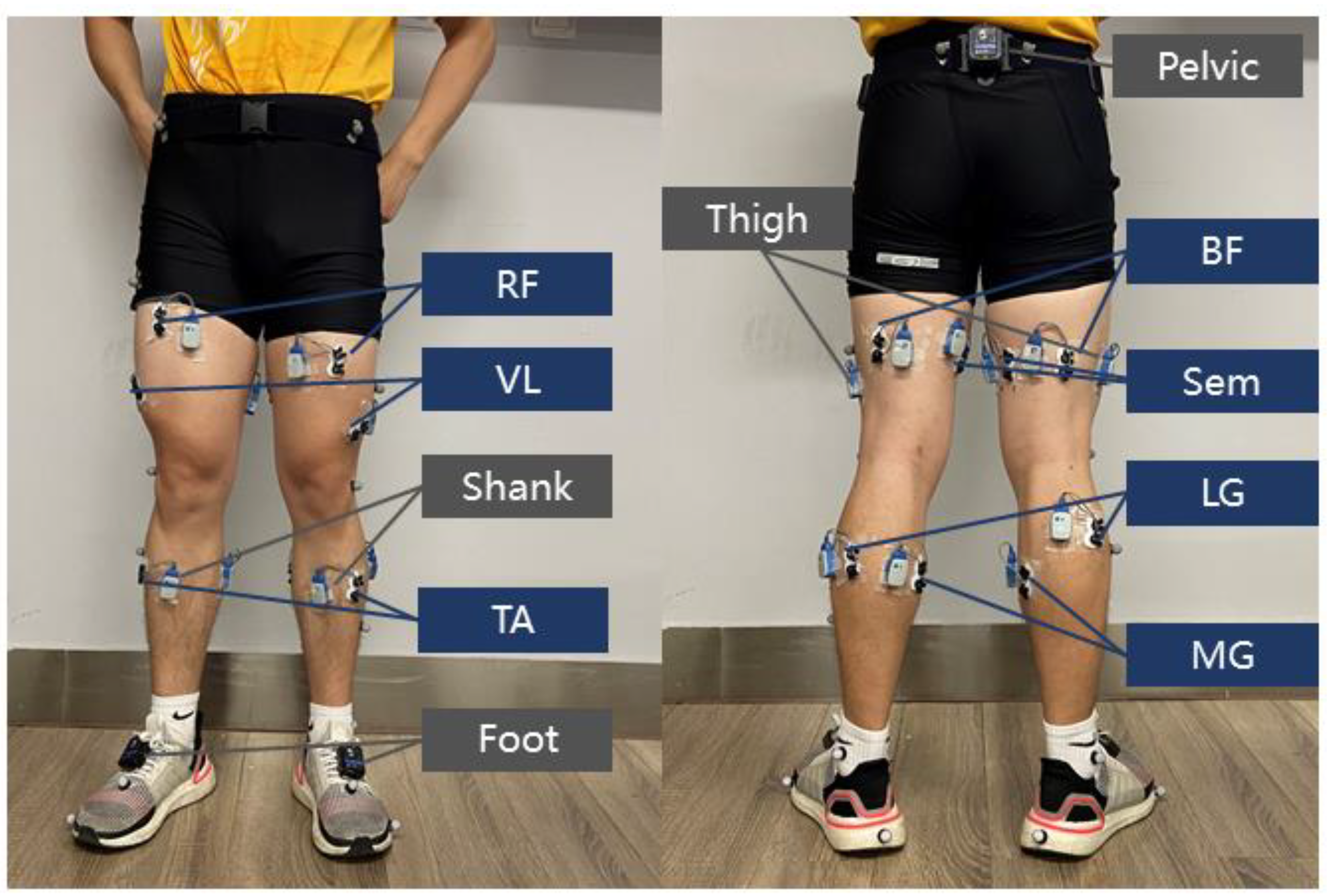 Sensors 21 06291 g001