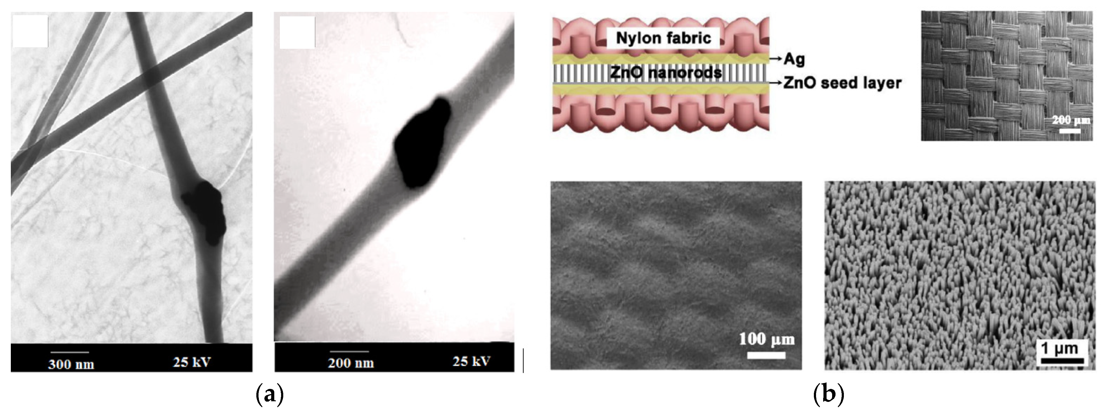 Sensors 21 06297 g005