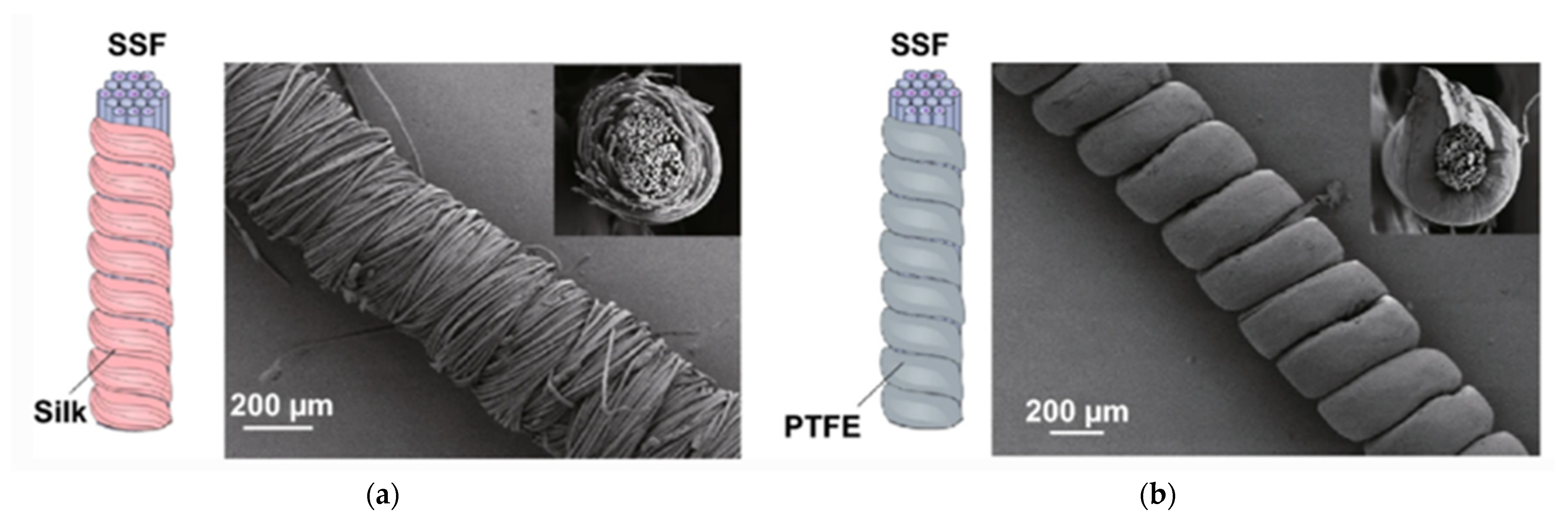 Sensors 21 06297 g007