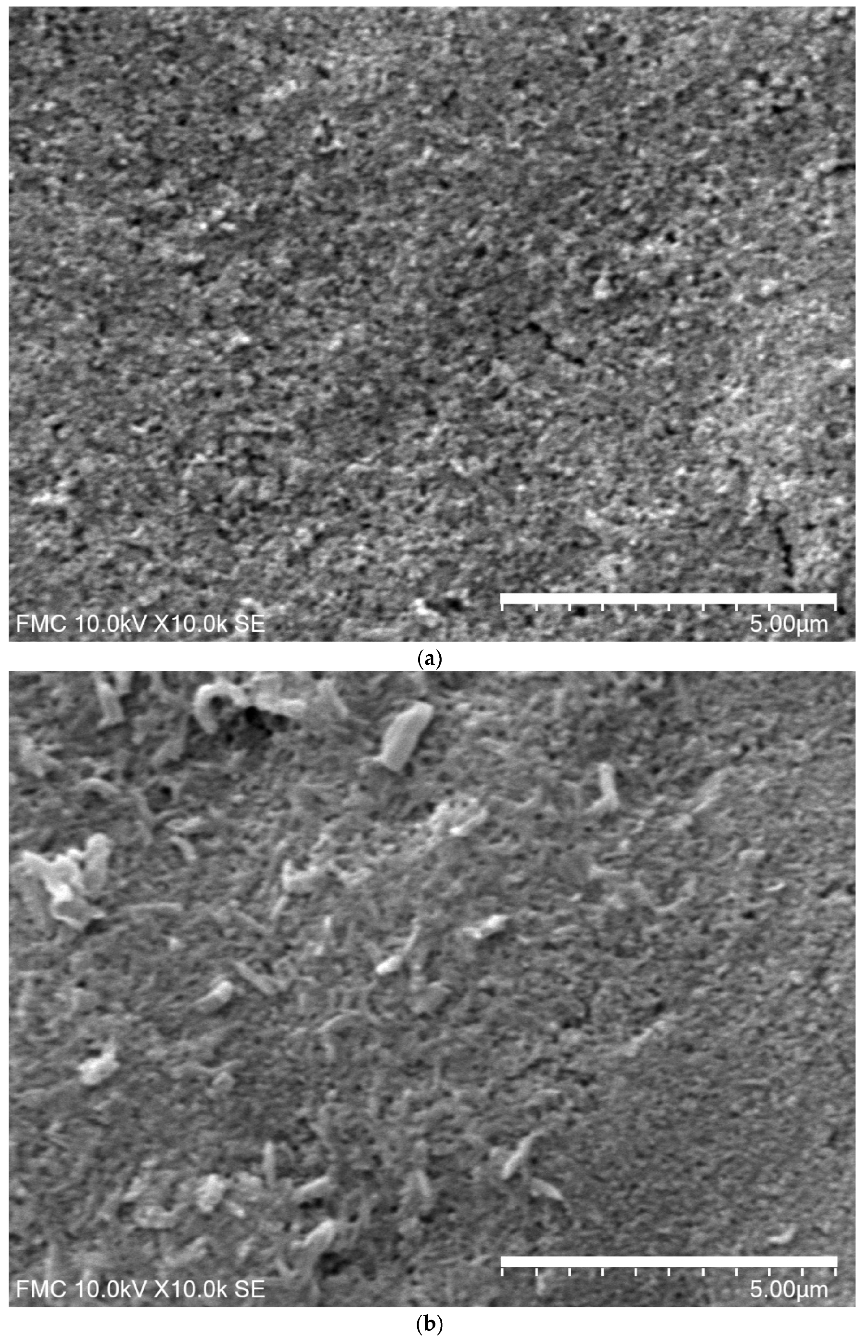 Sensors 21 06301 g001