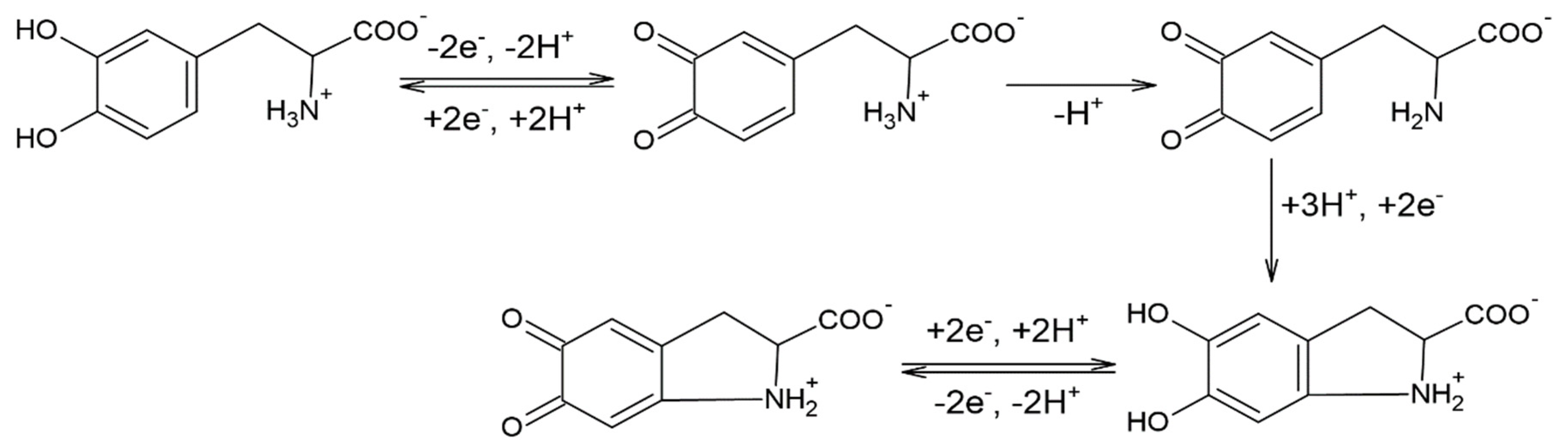 Sensors 21 06301 g006