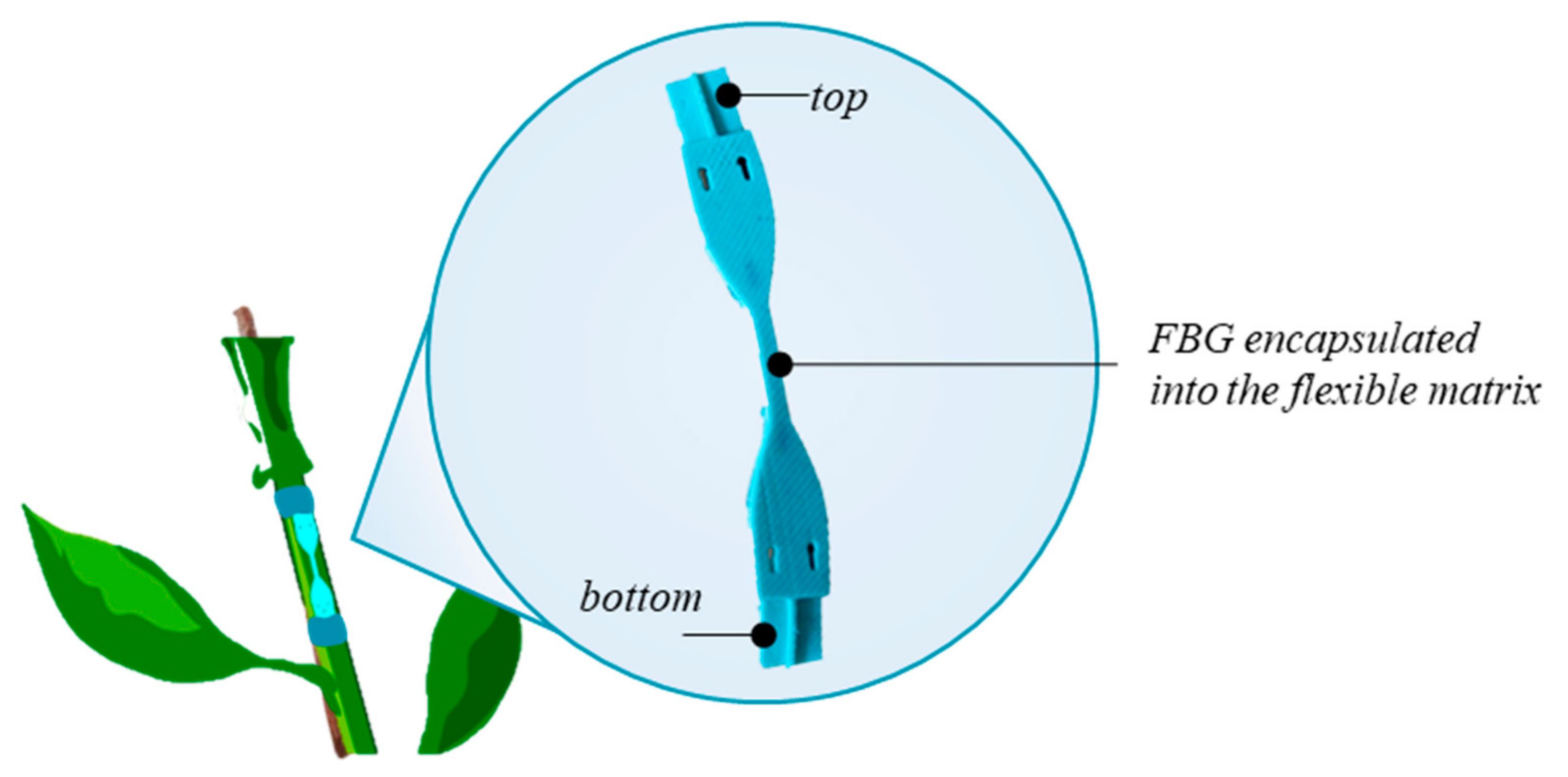 Sensors 21 06327 g002