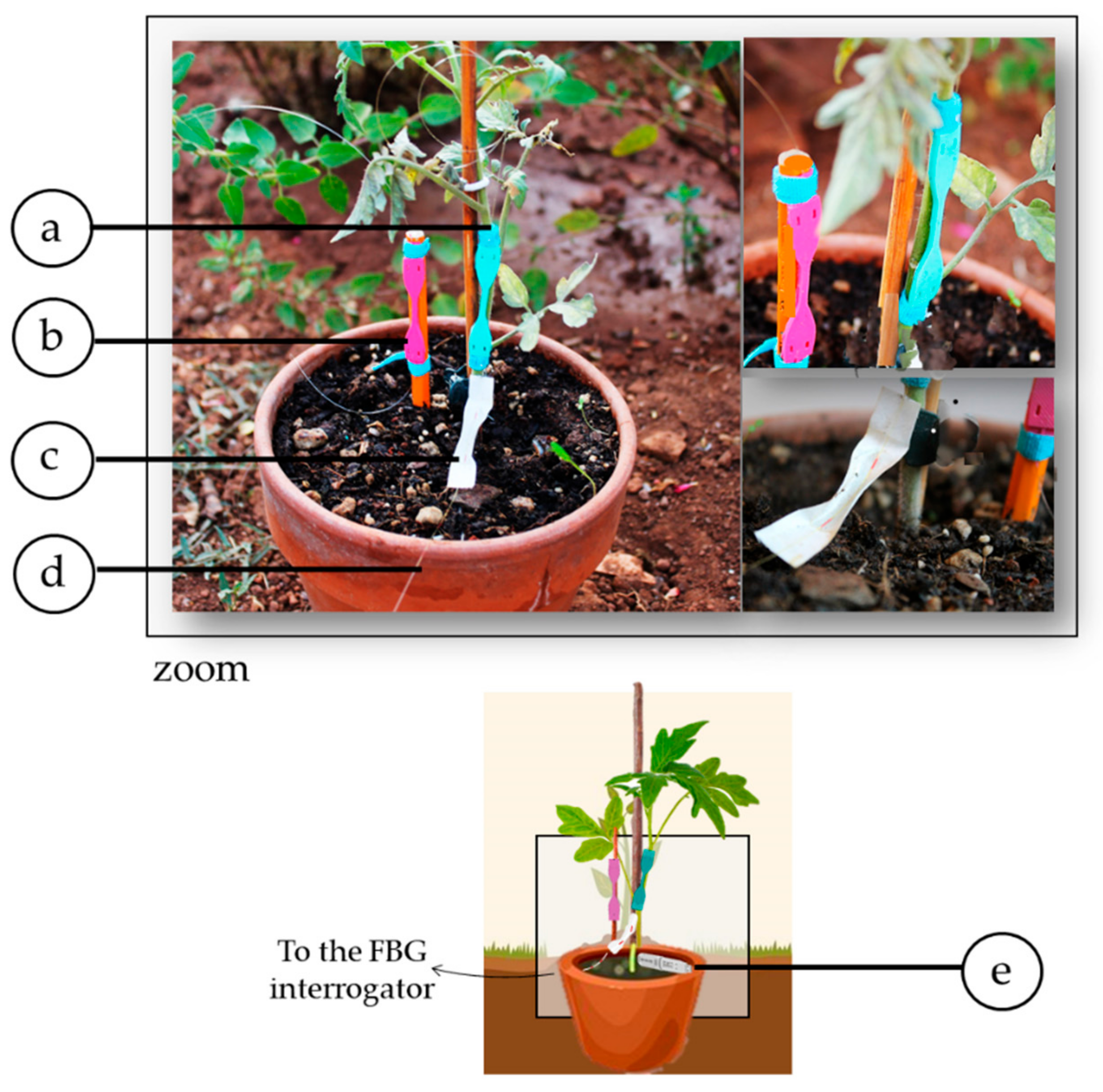 Sensors 21 06327 g007