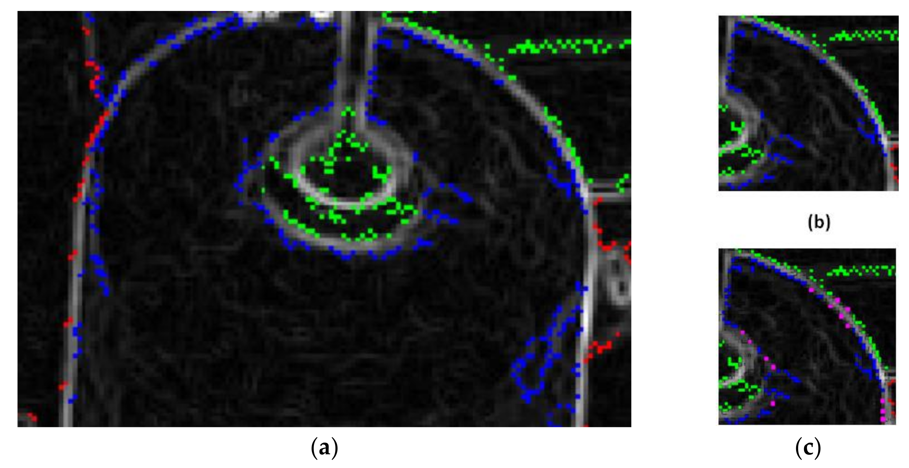 Sensors 21 06331 g006