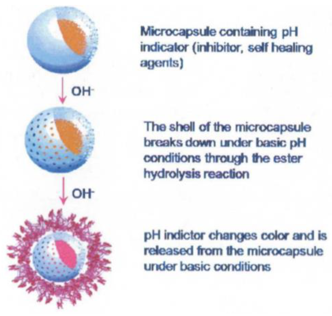 Sensors 21 06334 g012