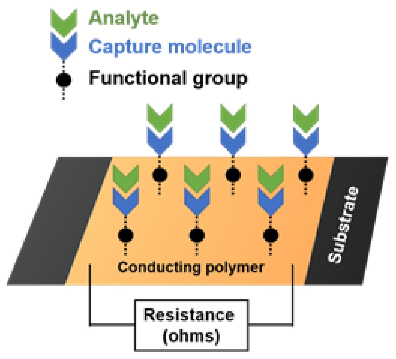 Sensors 21 06335 g002