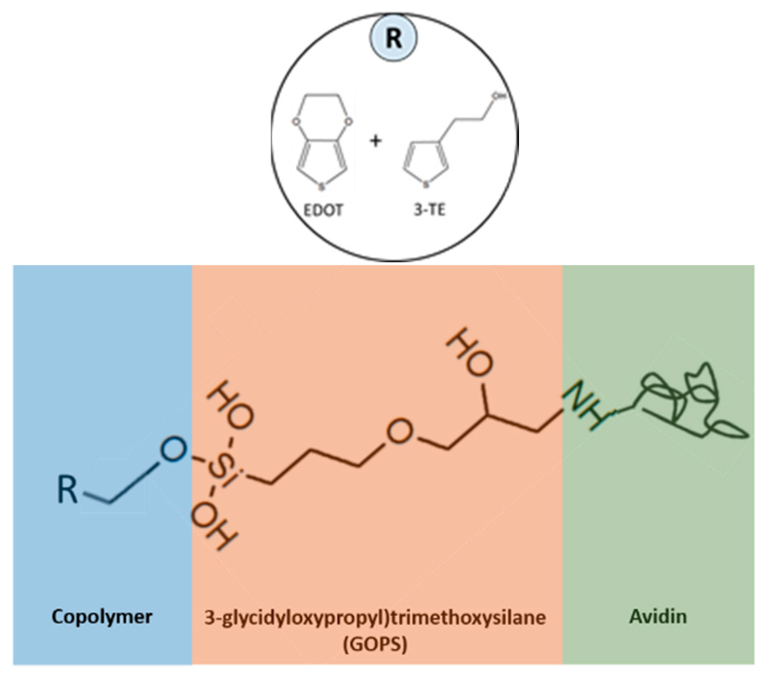 Sensors 21 06335 g003
