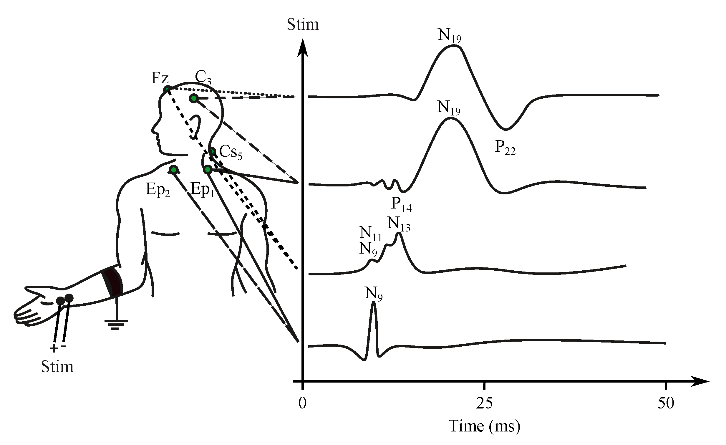 Sensors 21 06343 g006 Sensors 21 06343 g006