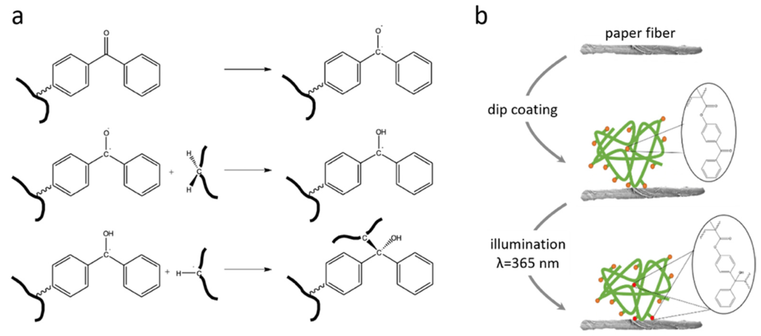 Sensors 21 06348 g001