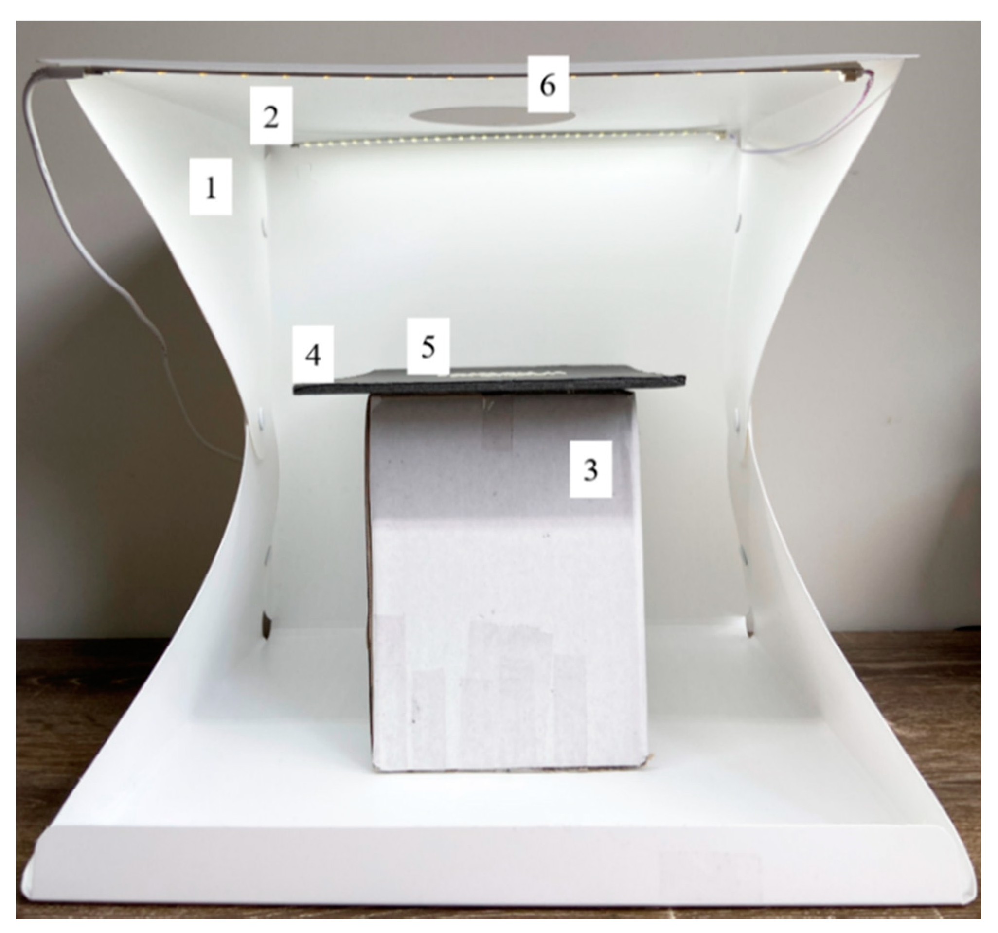 Sensors 21 06354 g001