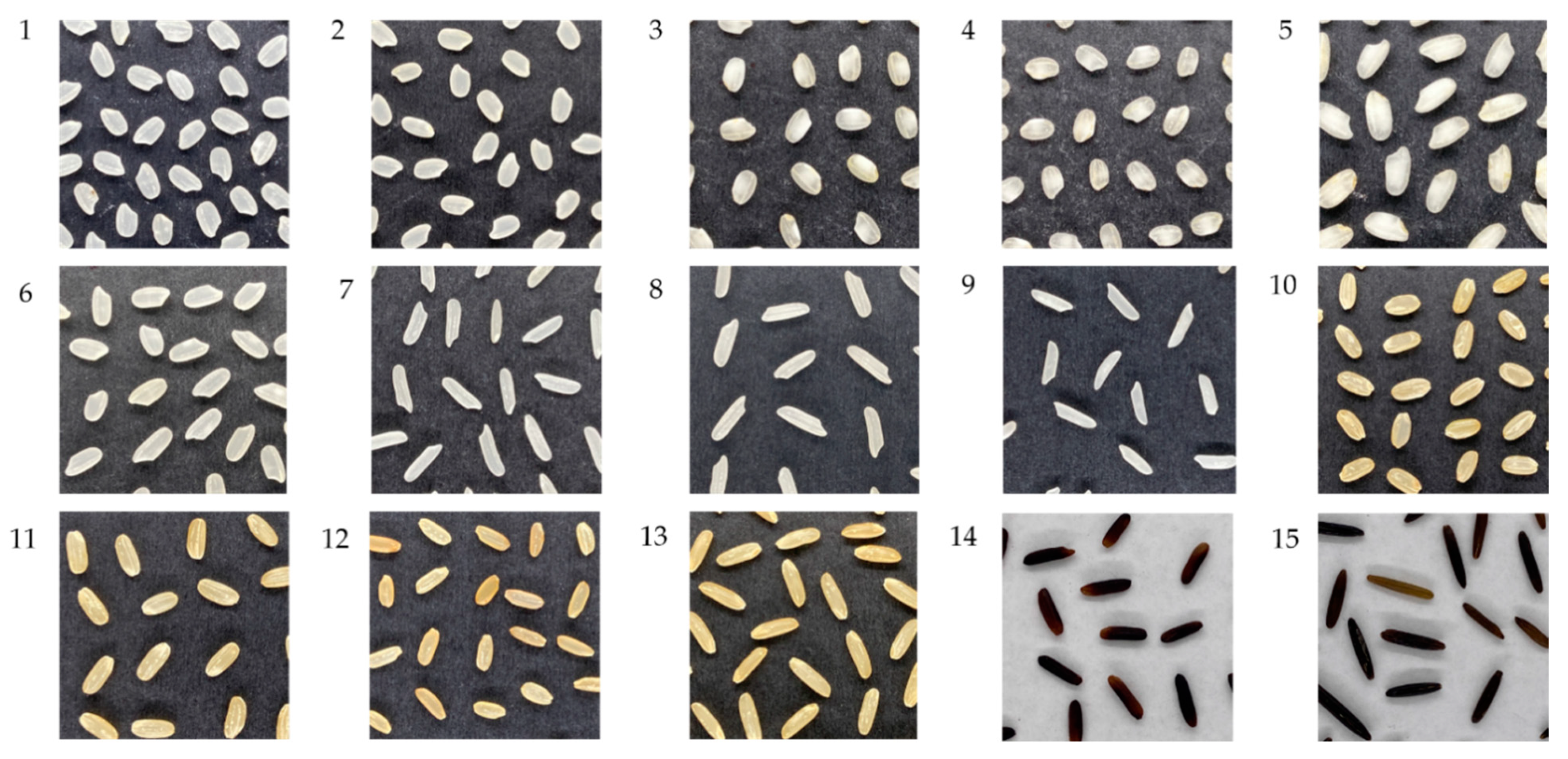 Sensors 21 06354 g002