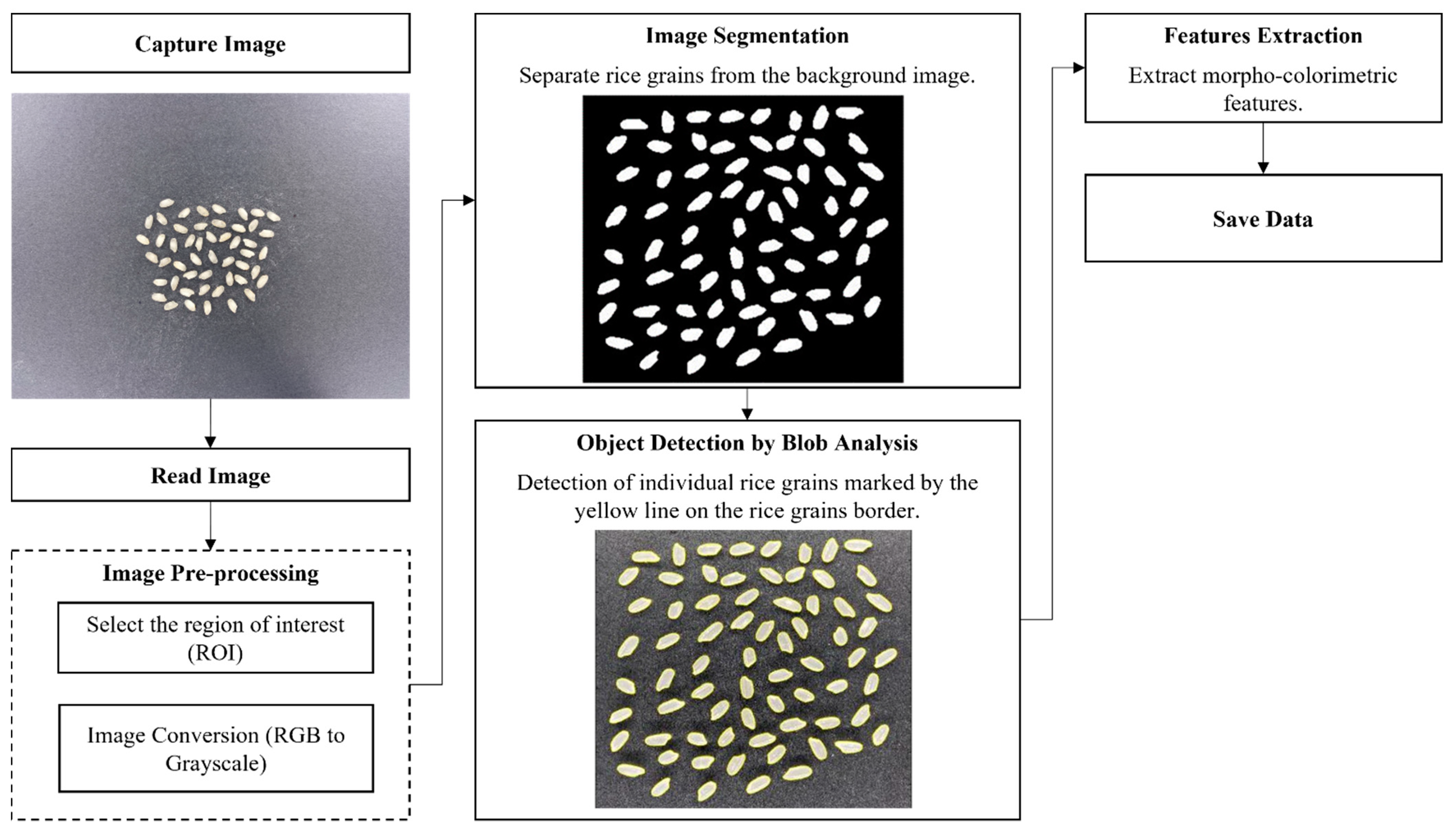 Sensors 21 06354 g003