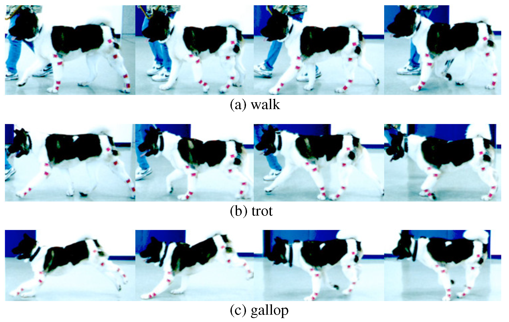 Sensors 21 06366 g001