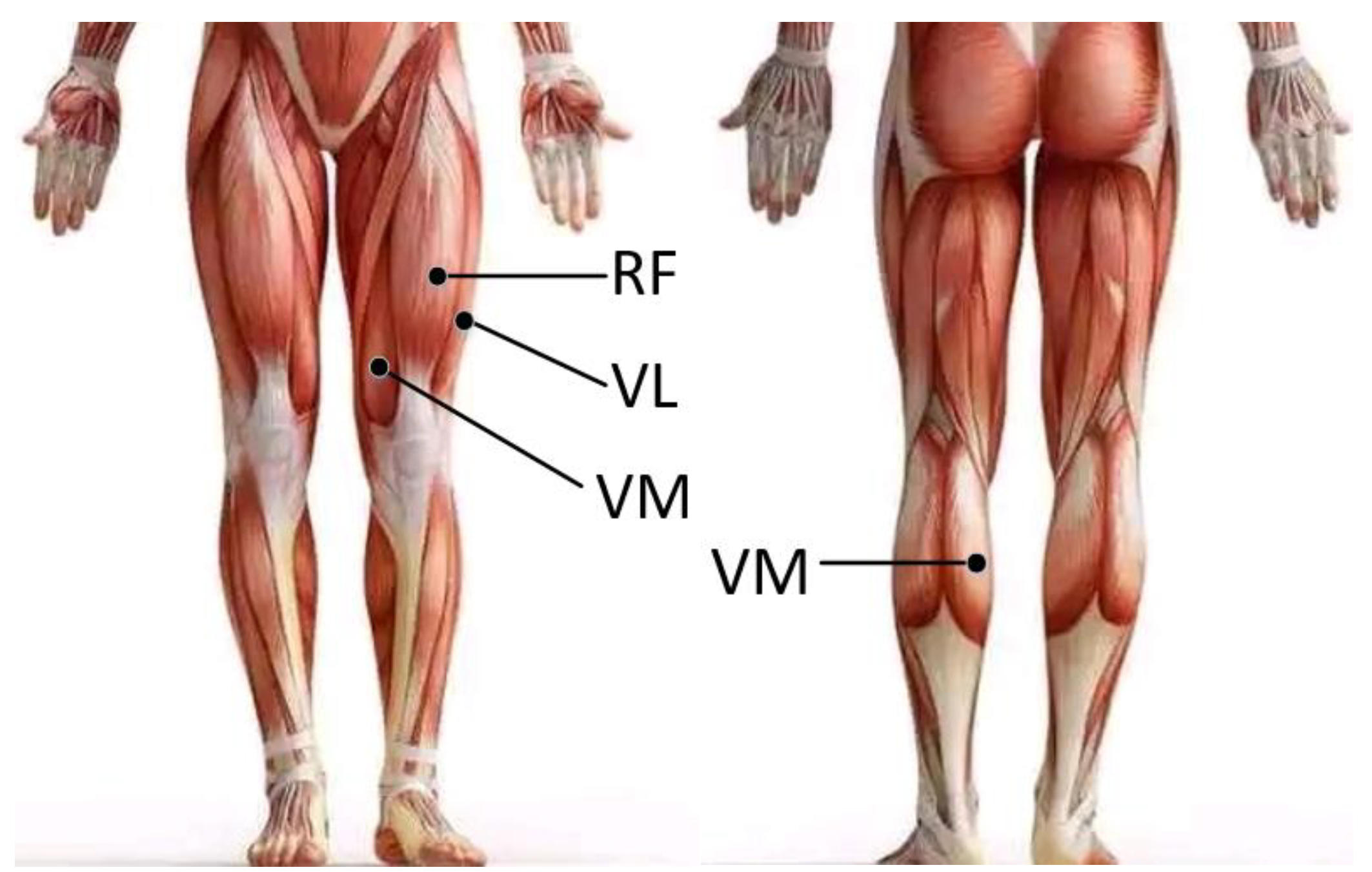 Sensors 21 06369 g001