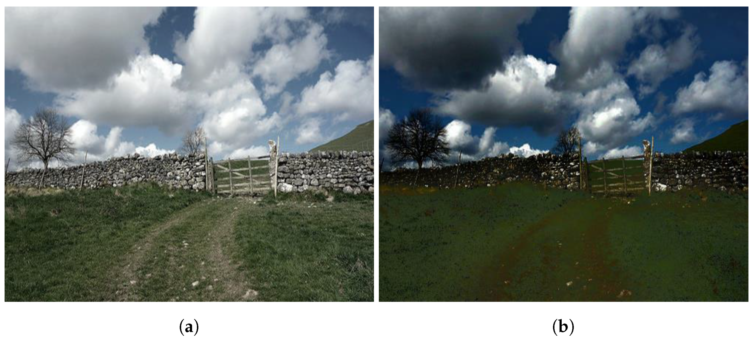 Sensors 21 06373 g001