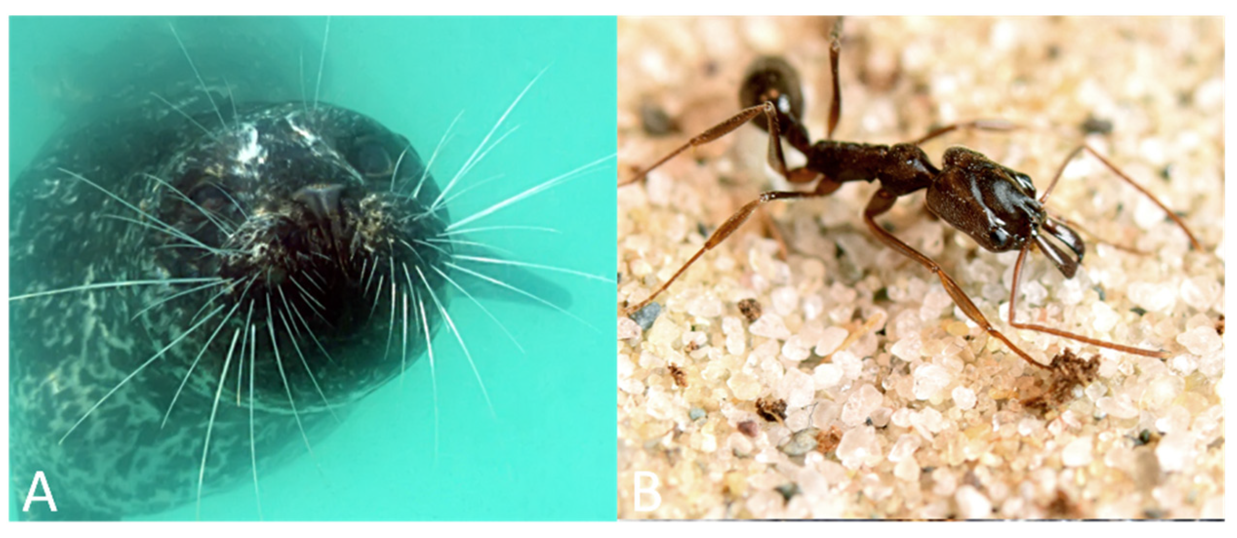 Sensors 21 06375 g003