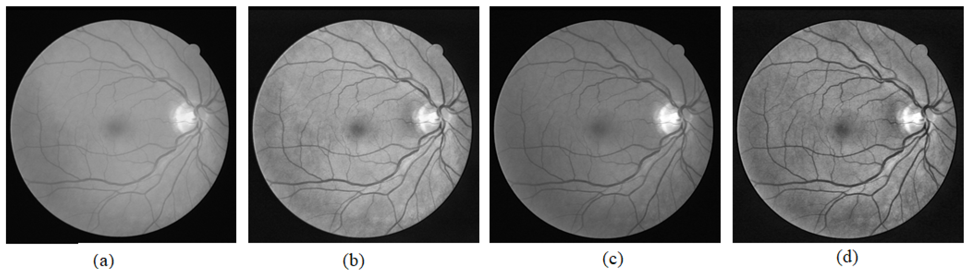 Sensors 21 06380 g013
