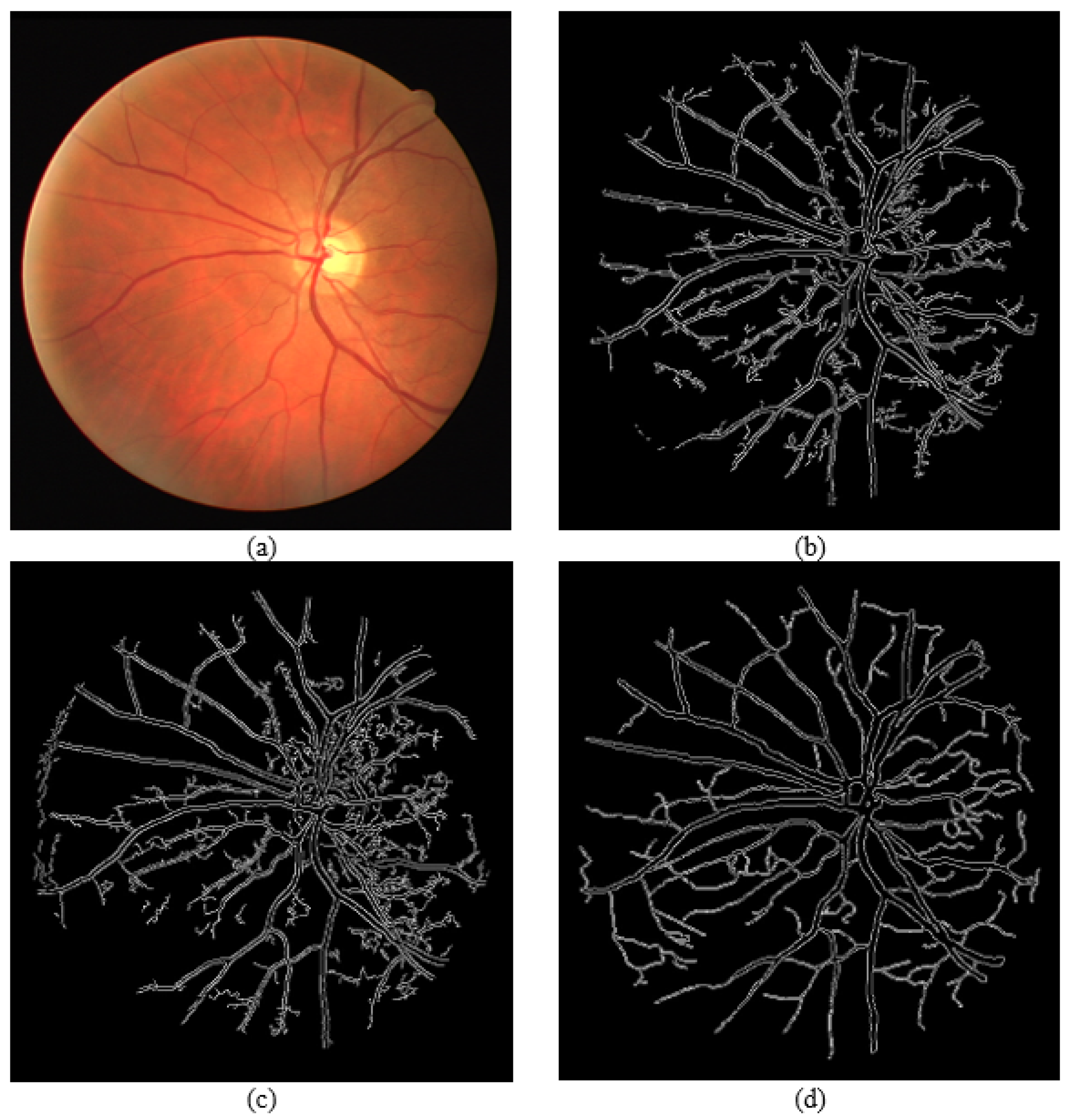 Sensors 21 06380 g016