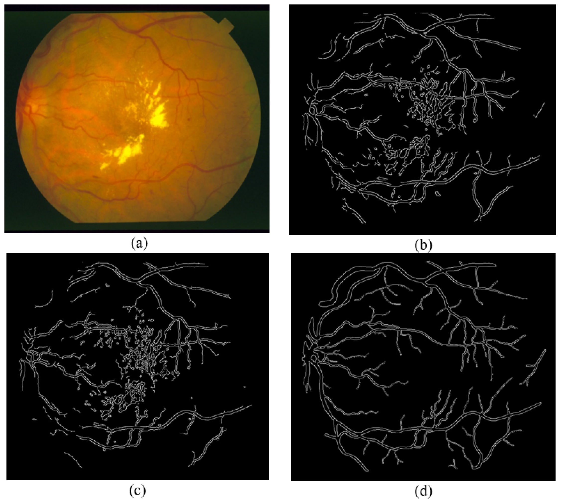 Sensors 21 06380 g019